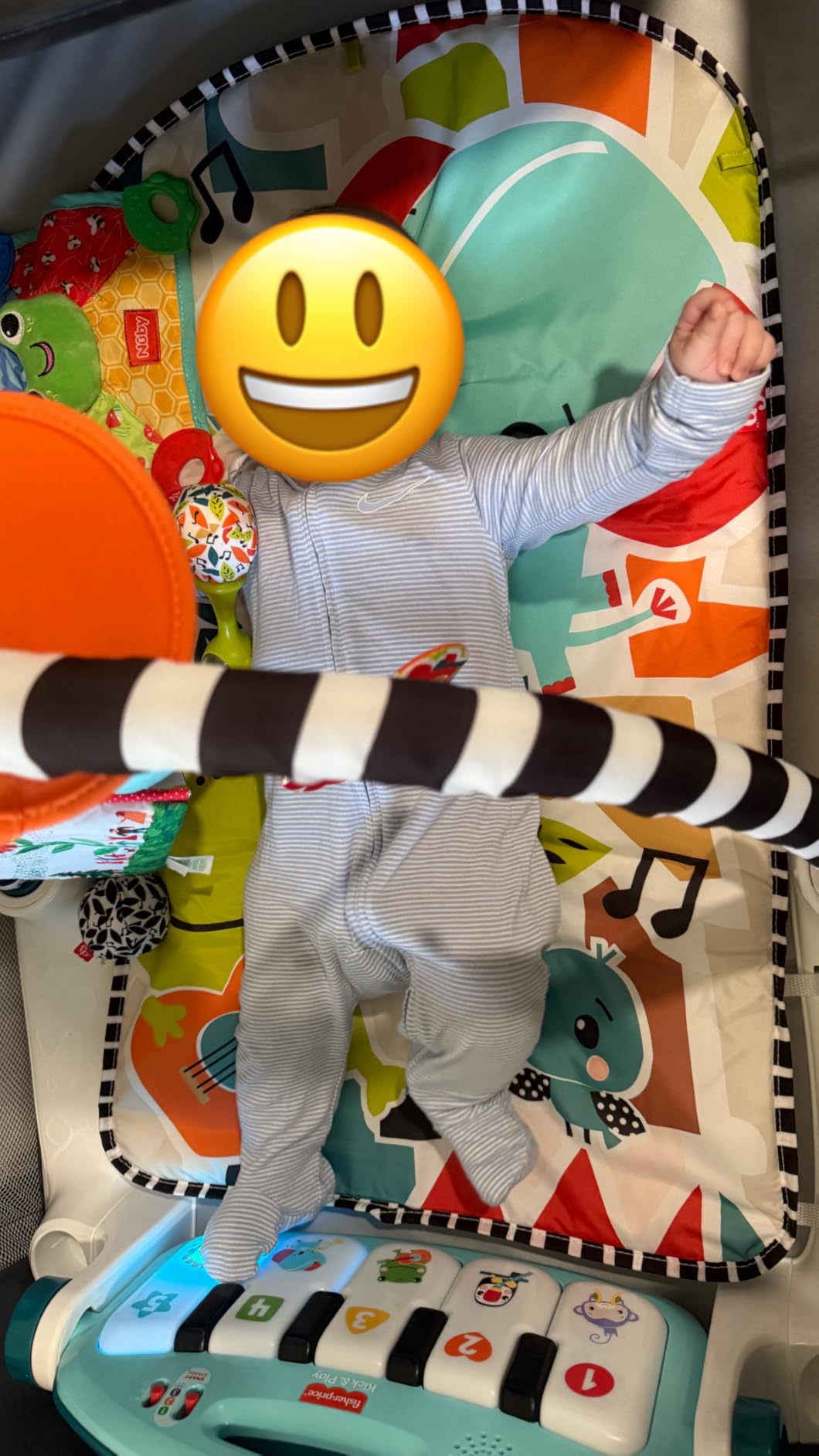 Fisher-Price Baby Playmat Deluxe Kick & Play Piano Gym for Learning & 2 Maracas Soft Rattles for Newborn to Toddler Play Ages 0+ Months customer photo 1