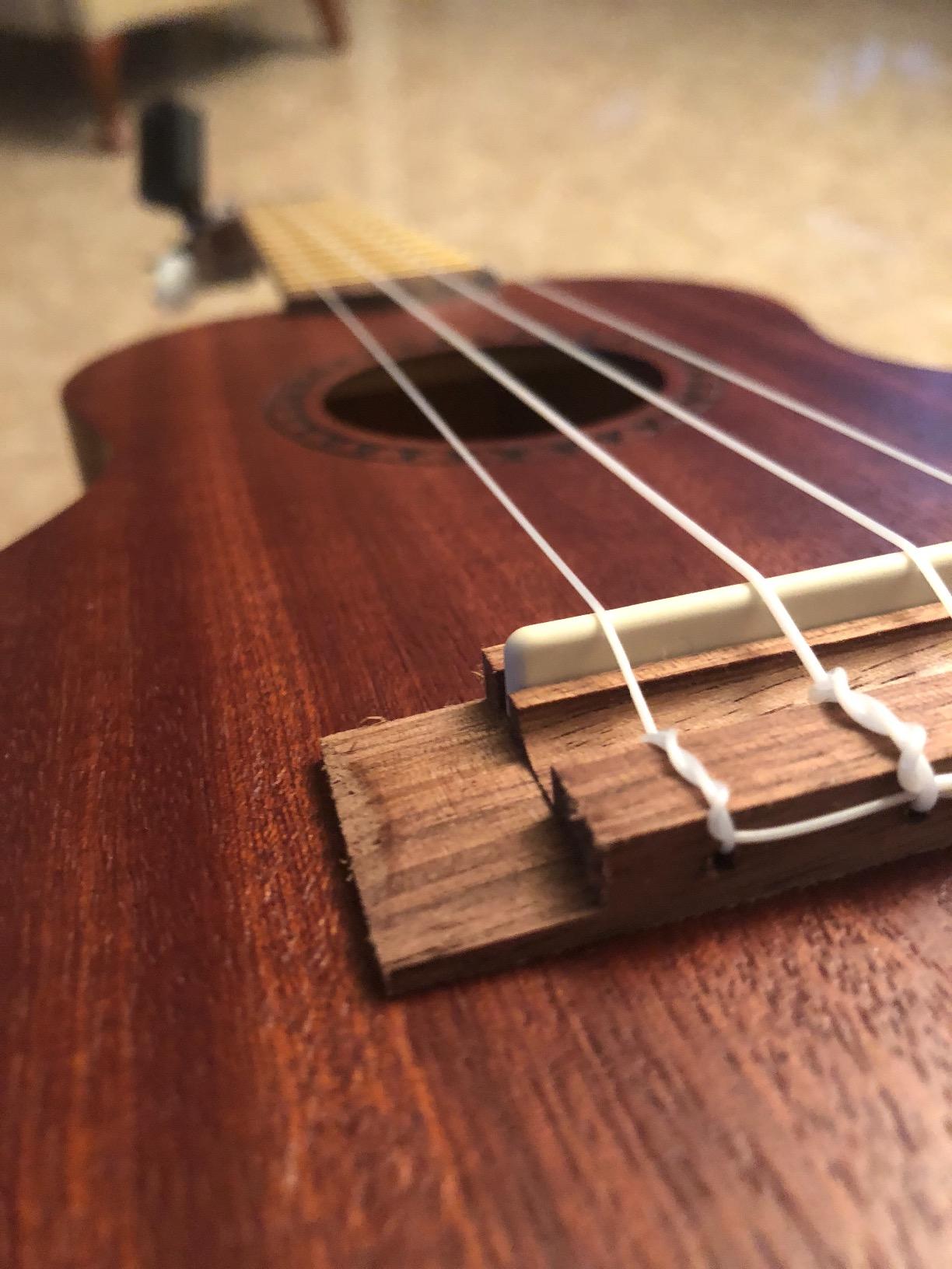 Kala KA-15C Satin Mahogany Concert Ukulele Bundle with Hard Case, Tuner, Strap, Strings, Austin Bazaar Instructional DVD, and Polishing Cloth customer photo 1