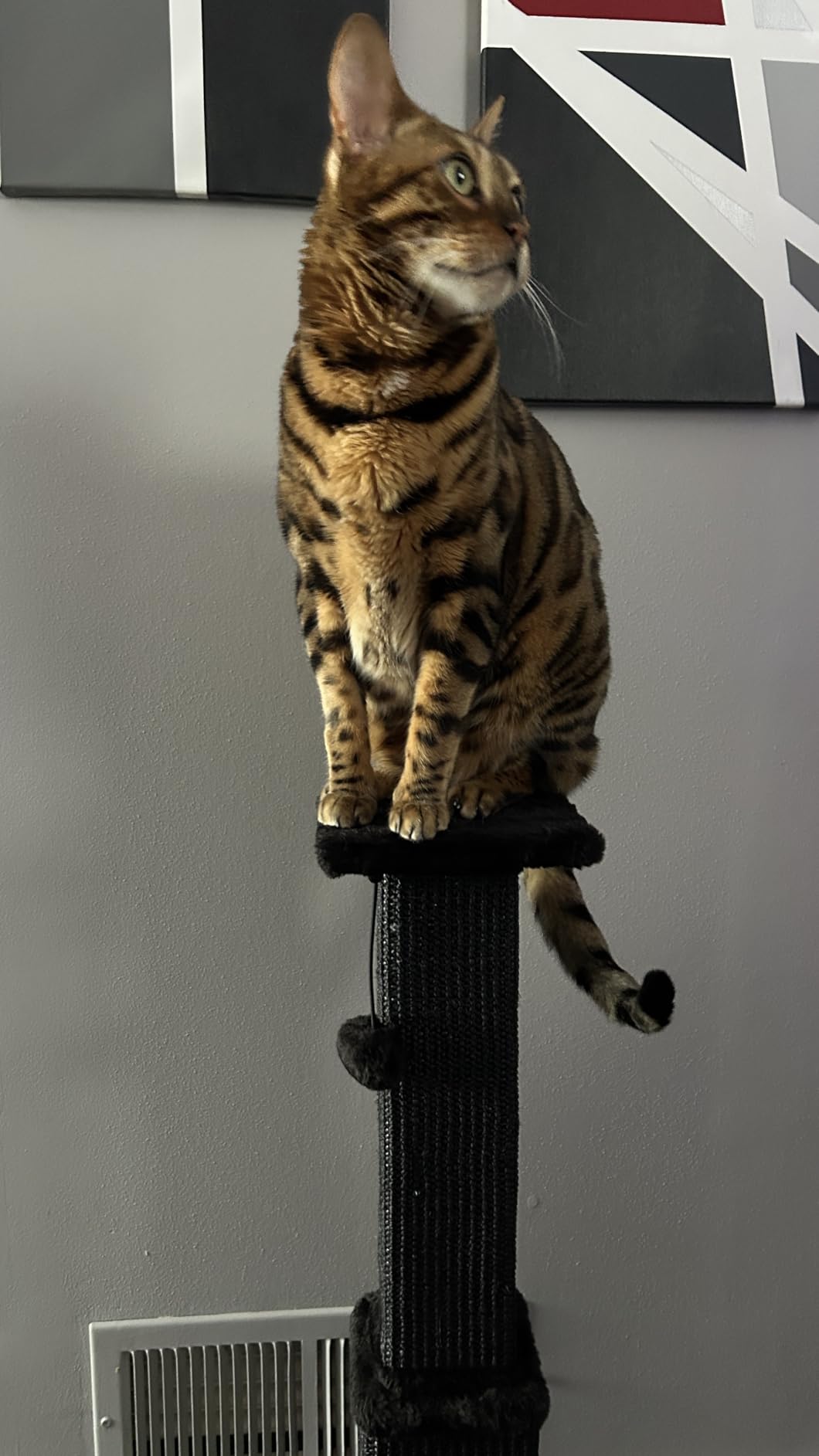 PAWZ Road Large Cat Scratching Post 32