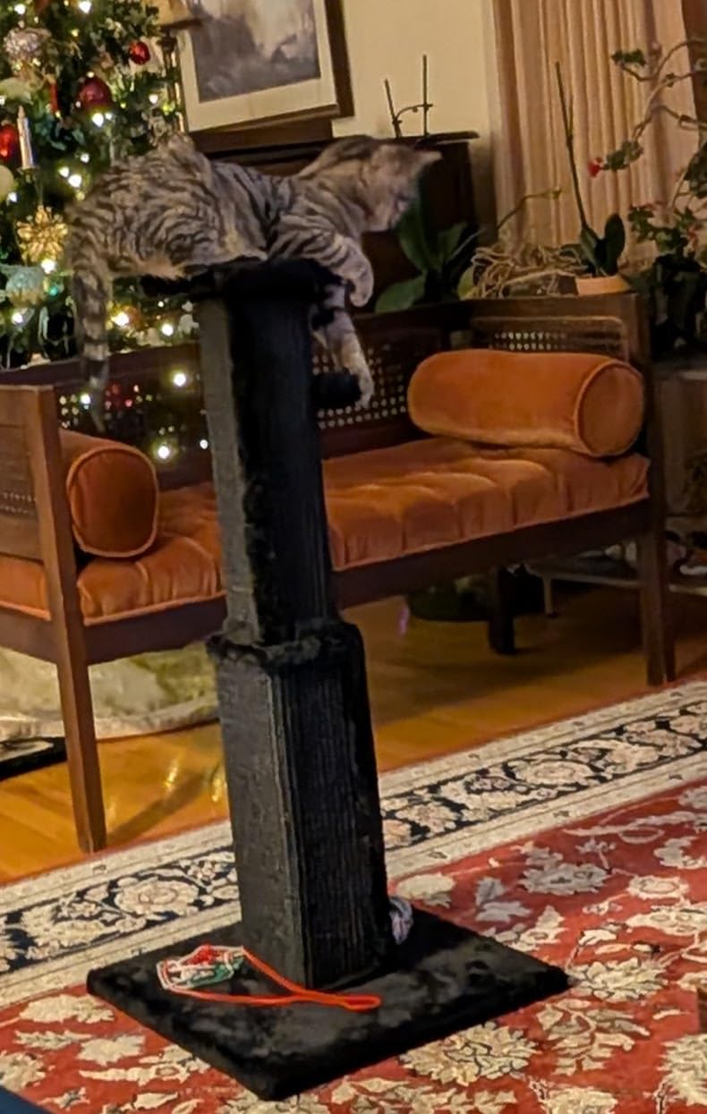 PAWZ Road Large Cat Scratching Post 32
