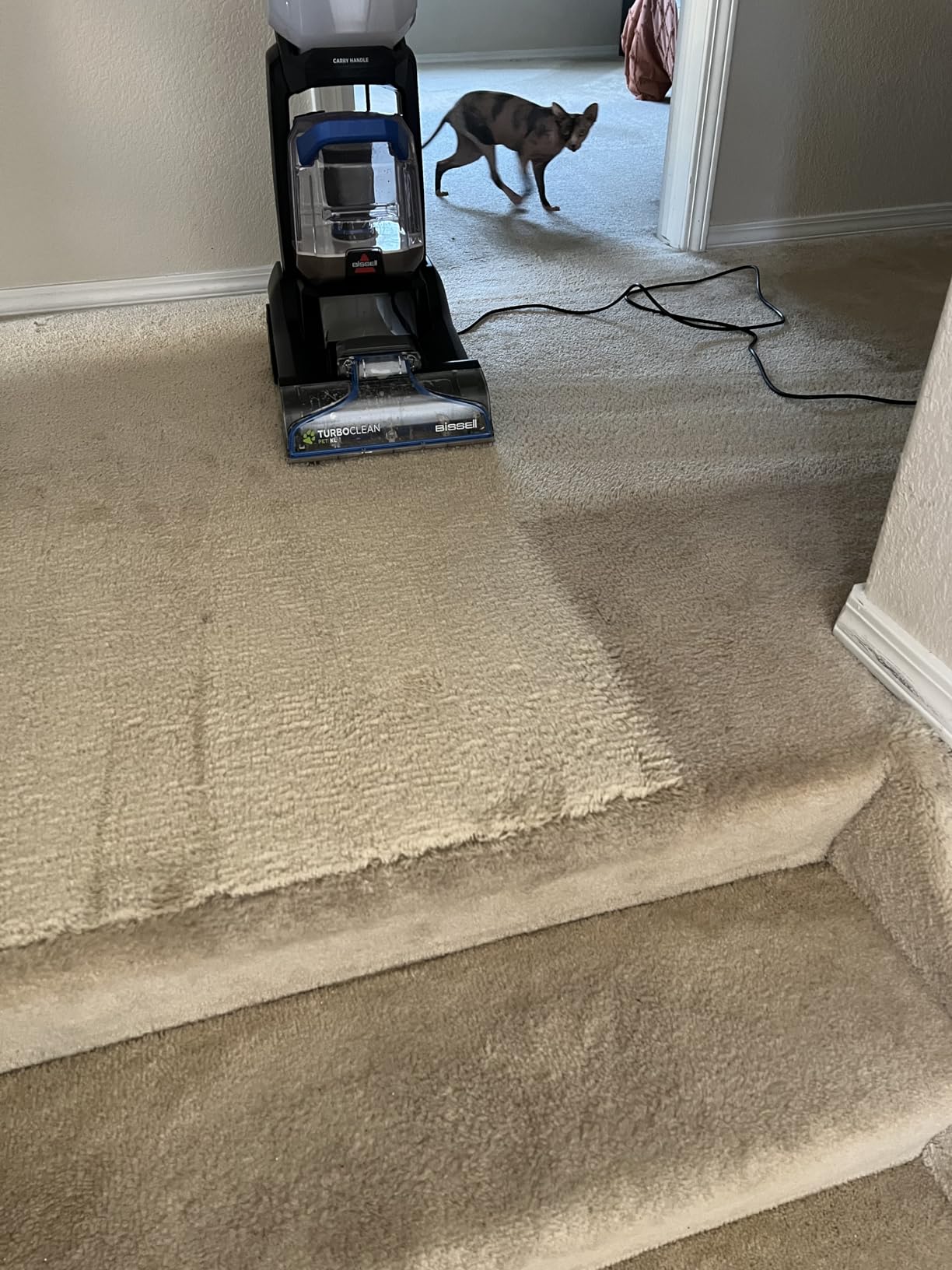 Bissell PET PRO OXY Urine Eliminator with Febreze Carpet Deep Clean Solution, 48oz customer photo 2