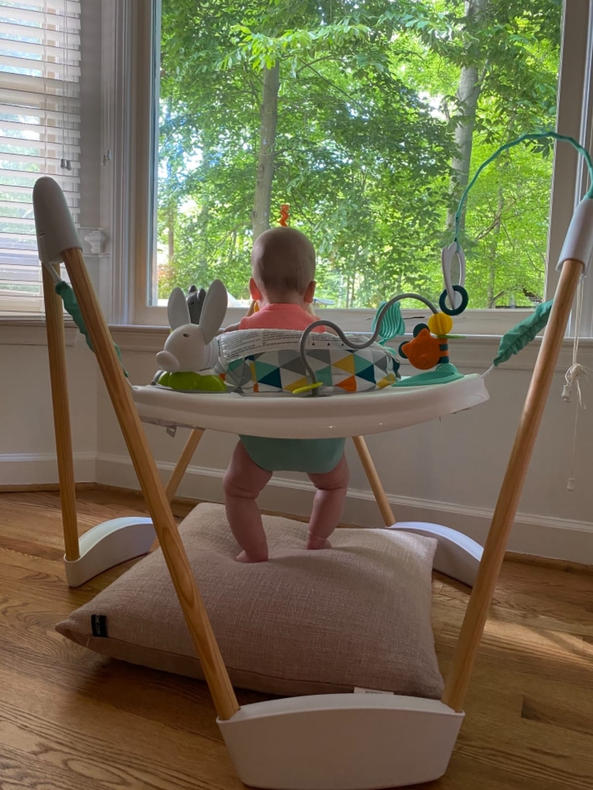 Evenflo Exersaucer Wood Frame Jumper, Woodland Wonder customer photo 2