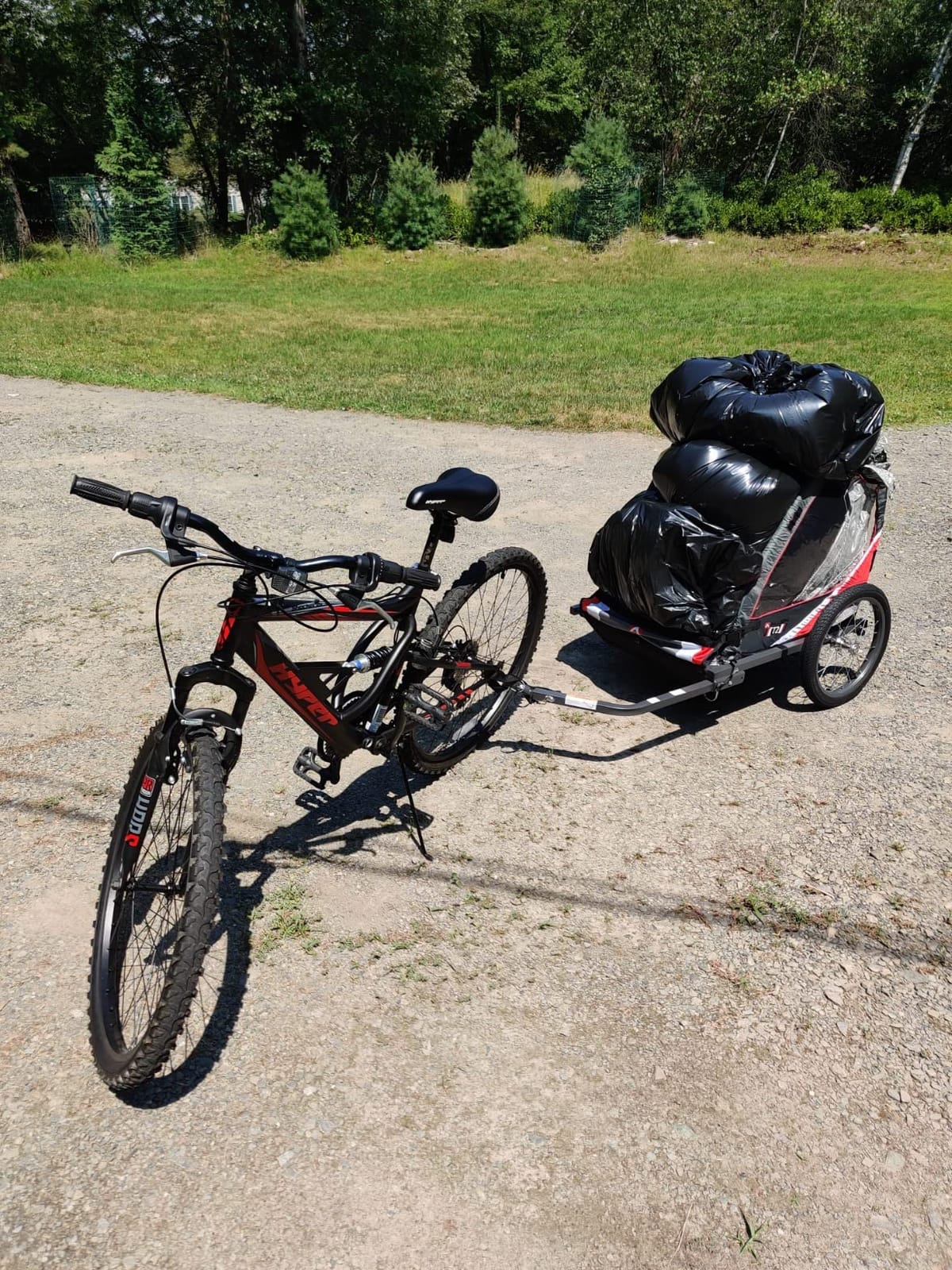 Allen Sports Deluxe Steel Child Trailer customer photo 1