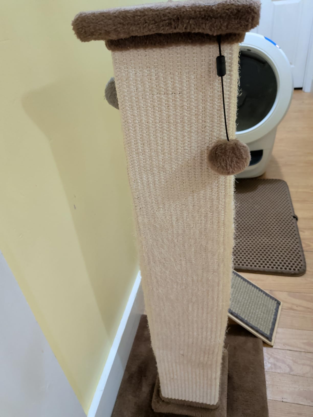 Amazon Basics Sturdy Cat Scratching Post for Indoor Cats & Kittens, Classic Single Post with Sisal Rope, Jute Fiber, Wood Base, Large (35.4