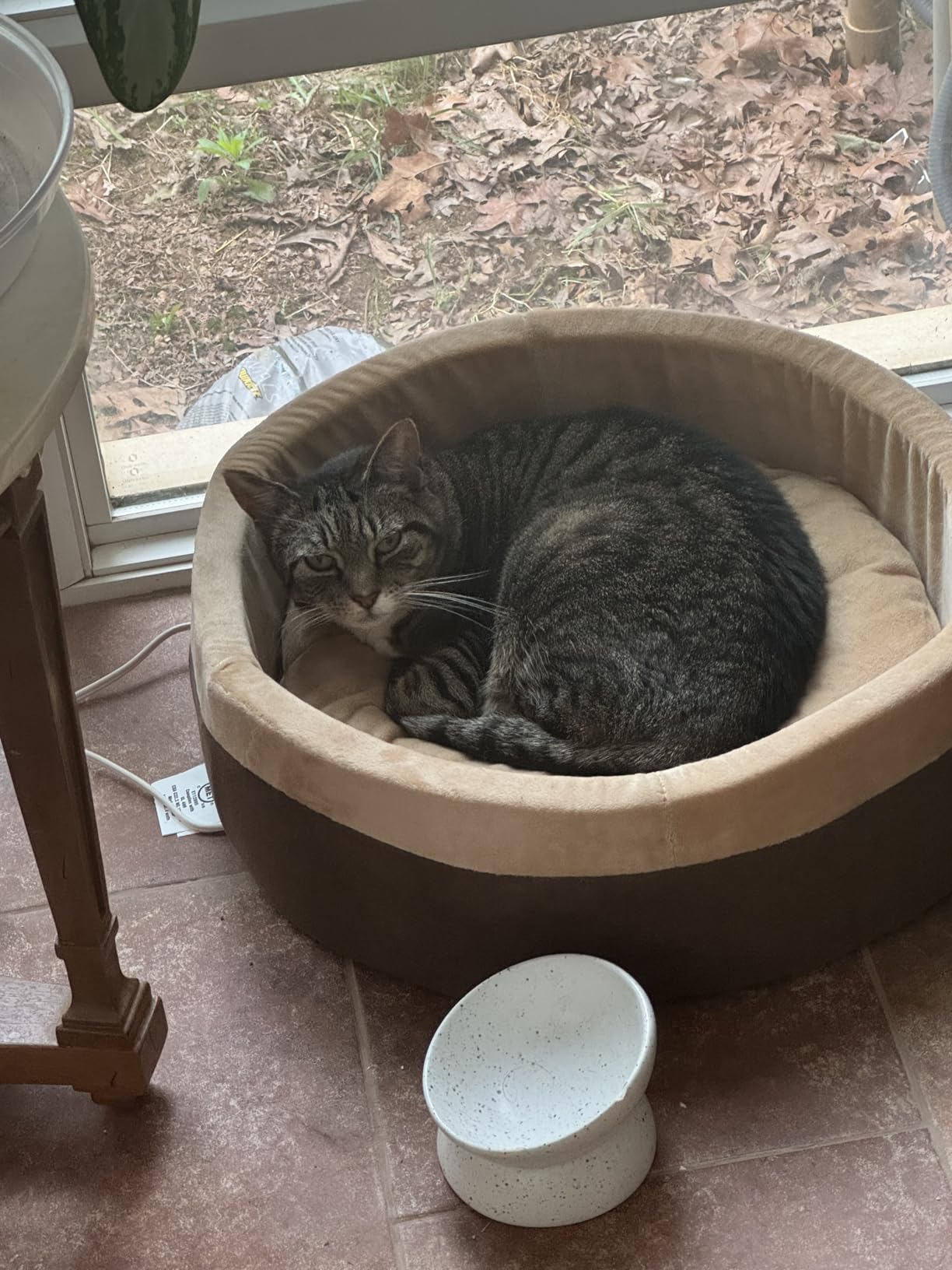 K&H Heated Cat Bed, Thermo-Kitty Bed Indoor, Safety Listed, Small 16in, 4W | Removable Waterproof Cat Heating Pad, Calming Warming Pillow Pet Bed for Indoor Cats & Dogs, Machine Washable, Mocha/Tan customer photo 1