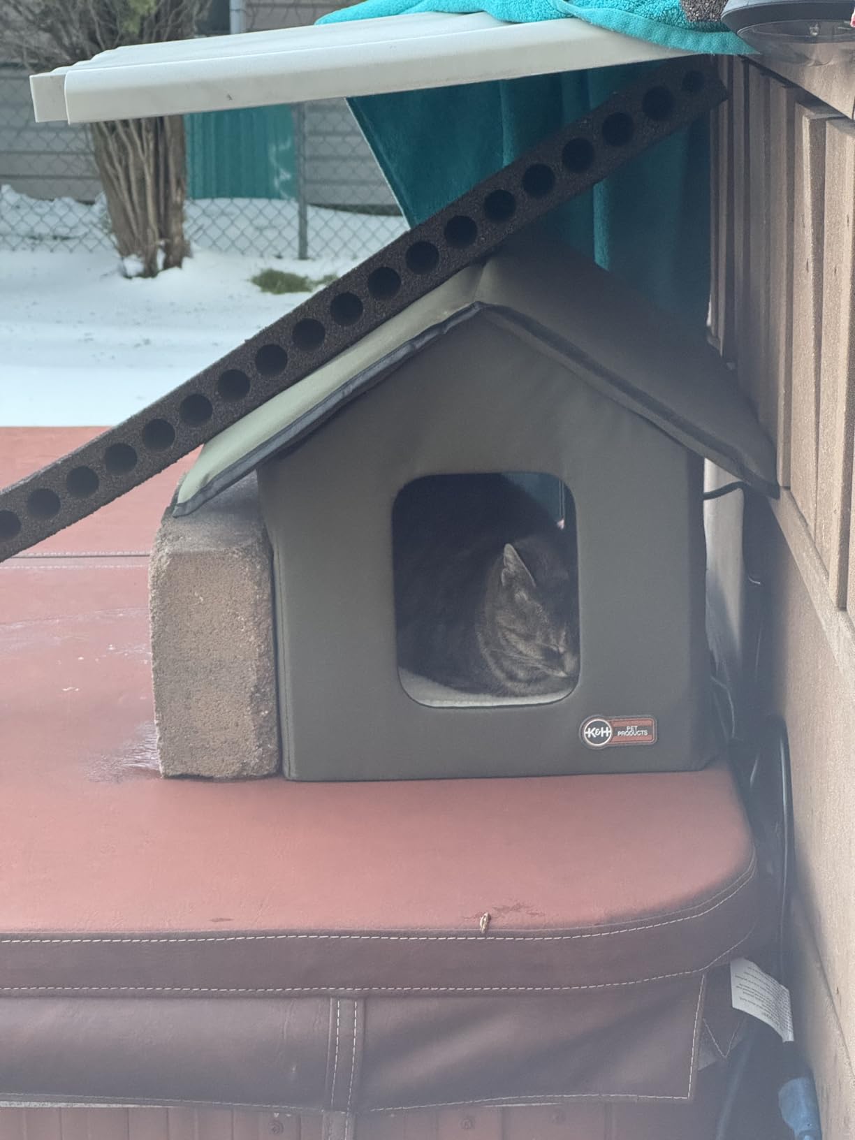 K&H Heated Cat House, Outdoor Kitty Shelter, Safety Listed, 20W, Olive | Heated Cat House for Outside, Weatherproof Shelter for Ferals, Insulated with Smart Thermostat, 2 Doors, Waterproof Bed customer photo 1