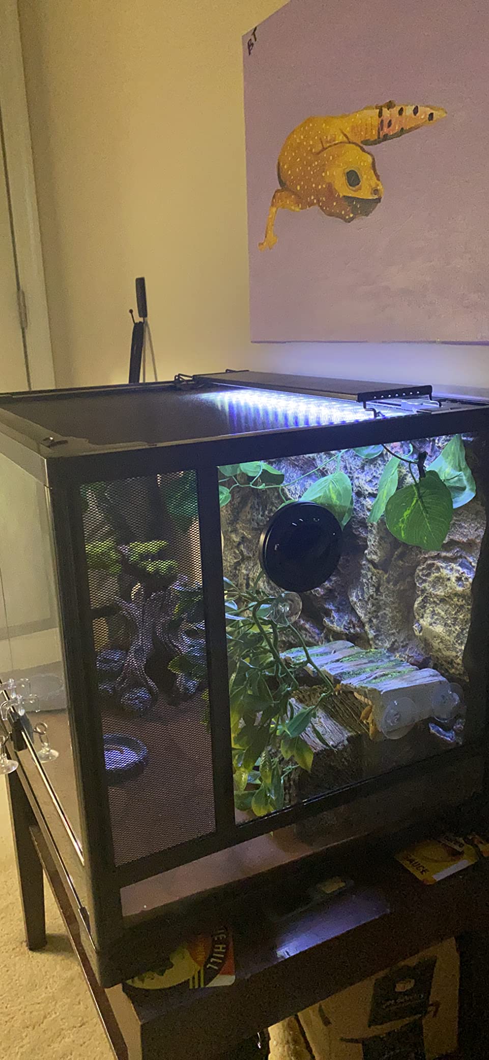 REPTI ZOO 34 Gallon Large Reptile Glass Terrarium Tank with Foam Backgrounds,Double Hinge Door with Screen Ventilation Reptile Terrarium 24
