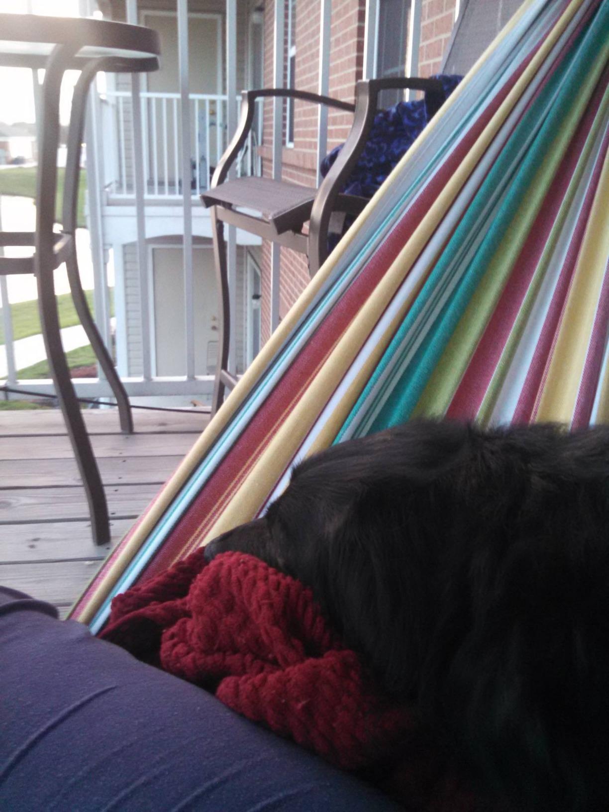Vivere Double Cotton Hammock, Space Saving Steel Stand, Blue Lagoon, 9 Ft customer photo 1