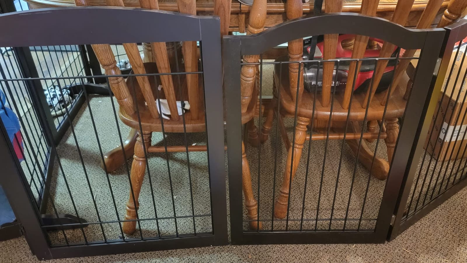 PAWLAND Extra Wide Dog Gate for The House, Doorway, Stairs, Dog Fences Indoor, Freestanding Foldable Wooden Pet Gates for Dogs, Set of Support Feet Included, 96 in Wide 30 in Tall, 4 Panels White customer photo 1