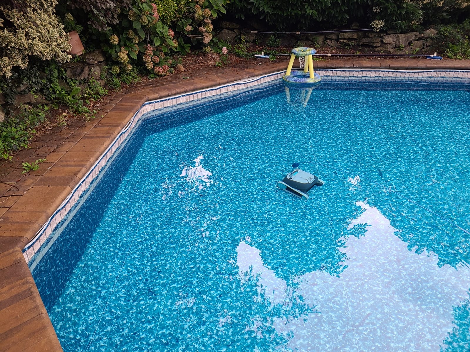 Dolphin Advantage Automatic Robotic Pool Vacuum Cleaner, Wall Climbing, Active Scrubber Brush, Ideal for In-Ground Pool Types up to 33 FT in Length customer photo 1