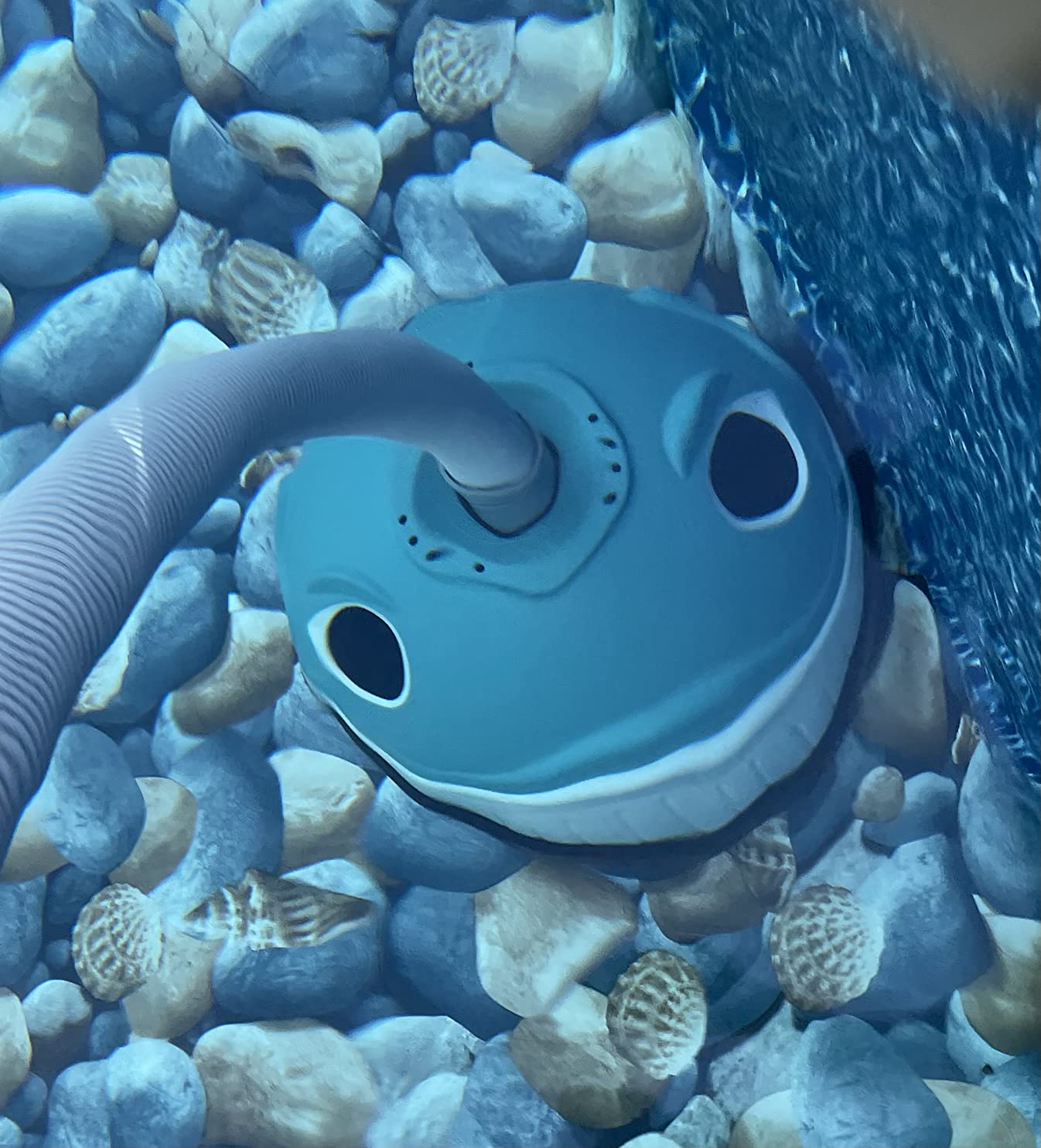 Hayward W3900 Wanda the Whale Above-Ground Suction Pool Cleaner for Any Size Pool, Automatic Pool Vacuum Cleaner customer photo 1