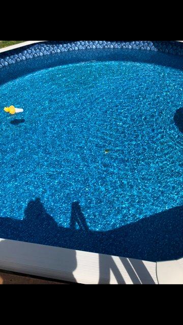 Hayward W3900 Wanda the Whale Above-Ground Suction Pool Cleaner for Any Size Pool, Automatic Pool Vacuum Cleaner customer photo 2