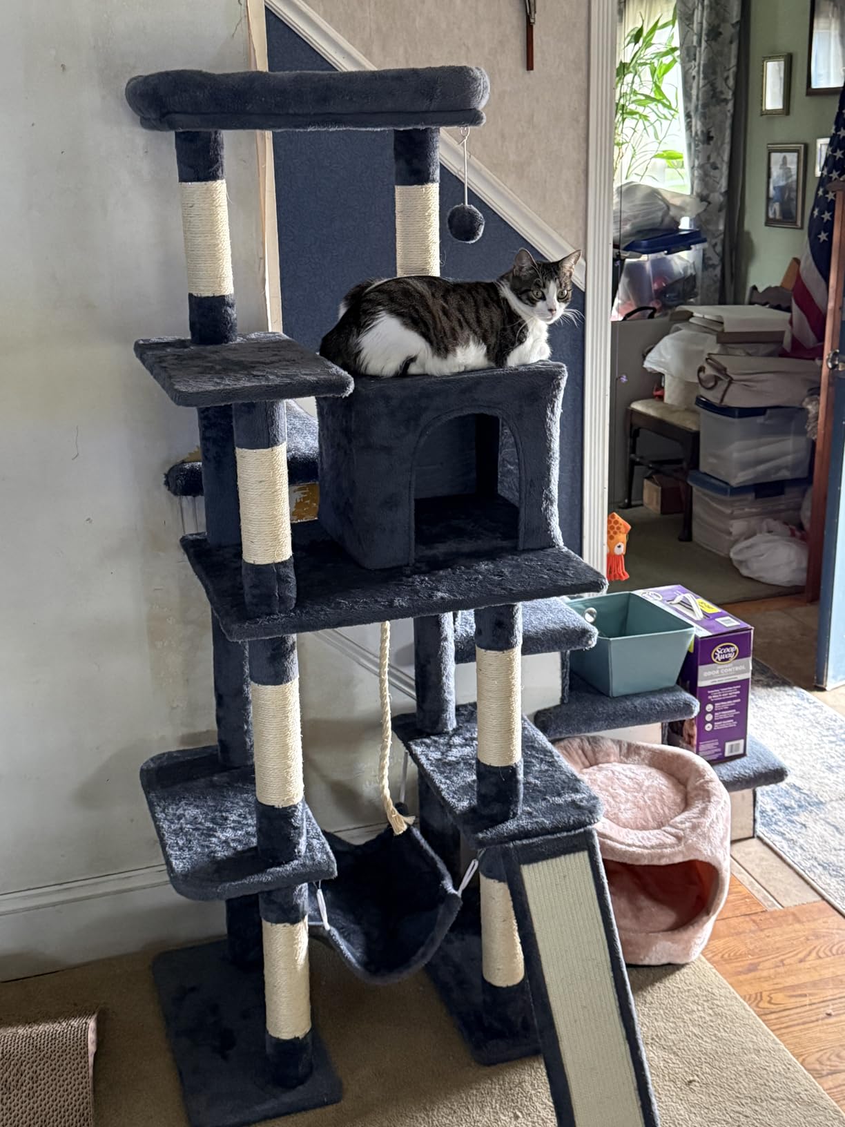 Yaheetech 63in Sturdy Large Cat Tree for Indoor Heavy Cats, Tall Tower | Plush condo, hammock, sisal scratching posts, multi-pet friendly, easy to assemble, stable wide base customer photo 2