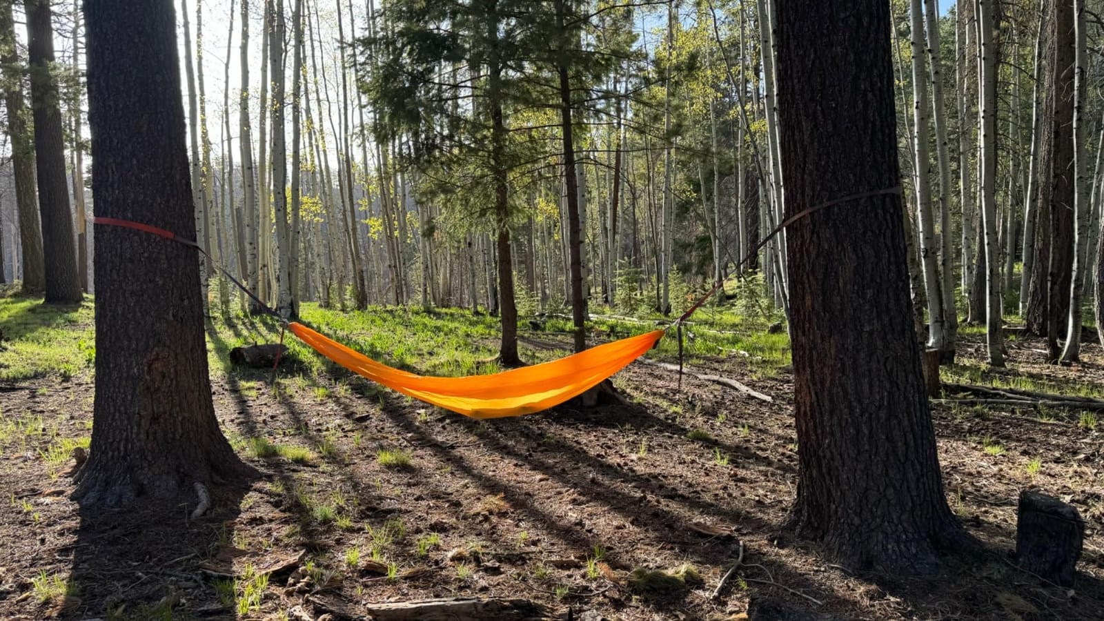 KAMMOK Roo Single Ultra Light Hammock - 100% Recycled Ripstop customer photo 2