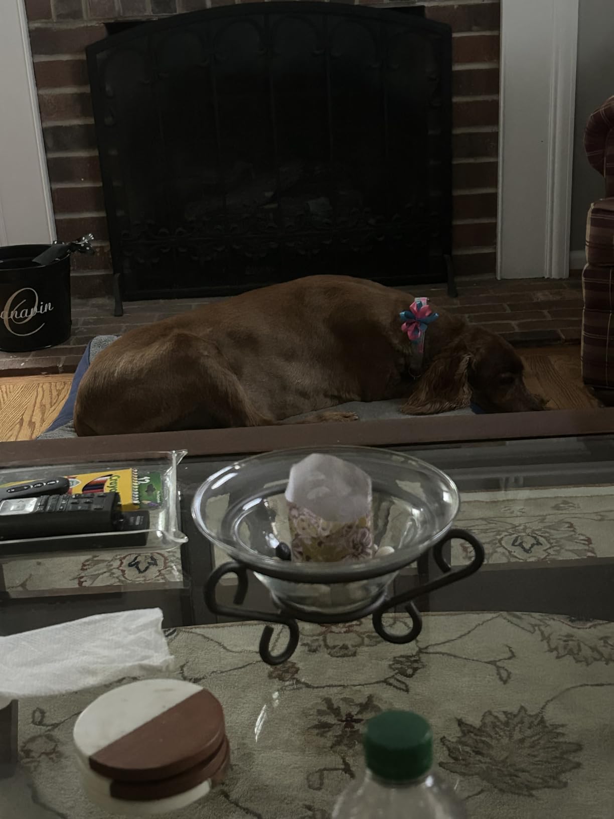 Bedsure XL Dog Bed, Extra Large Pet Bed with Comfy Sherpa,44x32in Grey | Orthopedic Egg Crate Foam,Comfort Support Flat Rectangle Pet Mat,Non-Slip Bottom,Removable Cover,For Extra Pet Up to 80 lbs customer photo 1