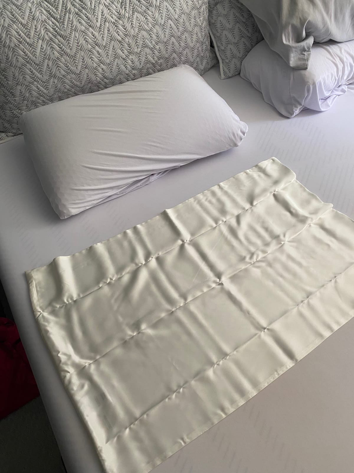 SUNDAYSILKS Premium Silk Pillow Cases | 100% Mulberry Silk Pillowcase with Zipper, All Sides Real 22 Momme Grade 6A Silk, Standard Queen, King Size [Nude Champagne] customer photo 1