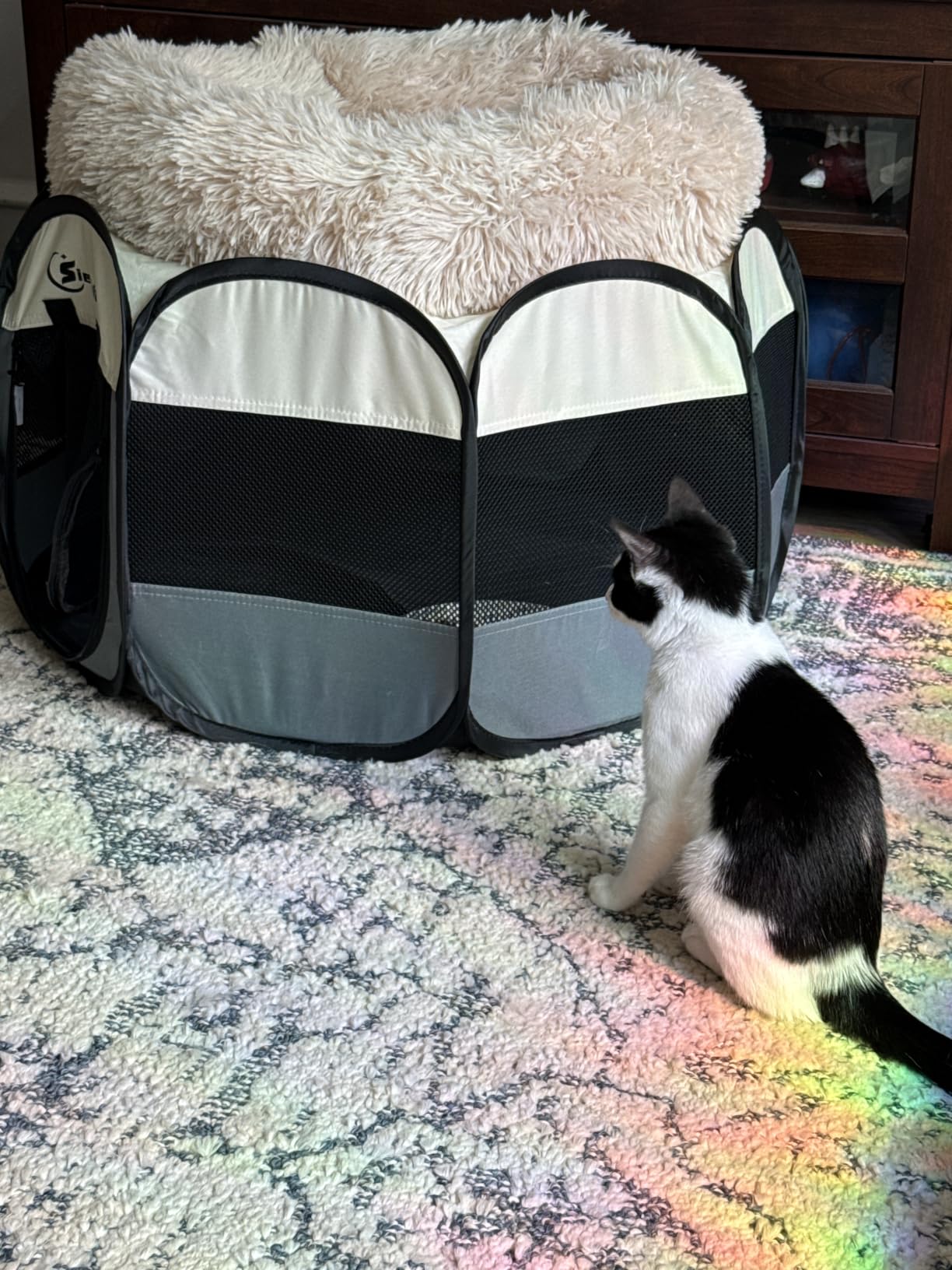 Mini Plush Self Warming Kitten Bed, 20 Inch Soft Round Fluffy Dog Bed and Cat Nest customer photo 1
