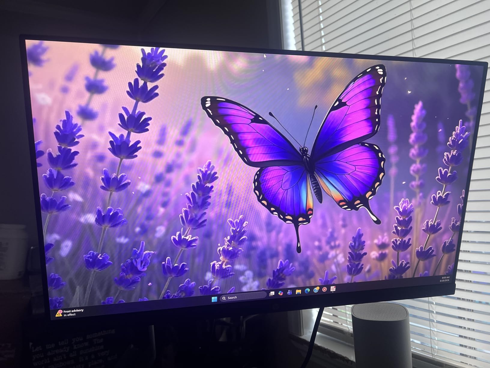 HP 24mh FHD Monitor - Computer Monitor with 23.8-Inch IPS Display (1080p) - Built-in Speakers and VESA Mounting - Height/Tilt Adjustment for Ergonomic Viewing - HDMI and DisplayPort customer photo 2