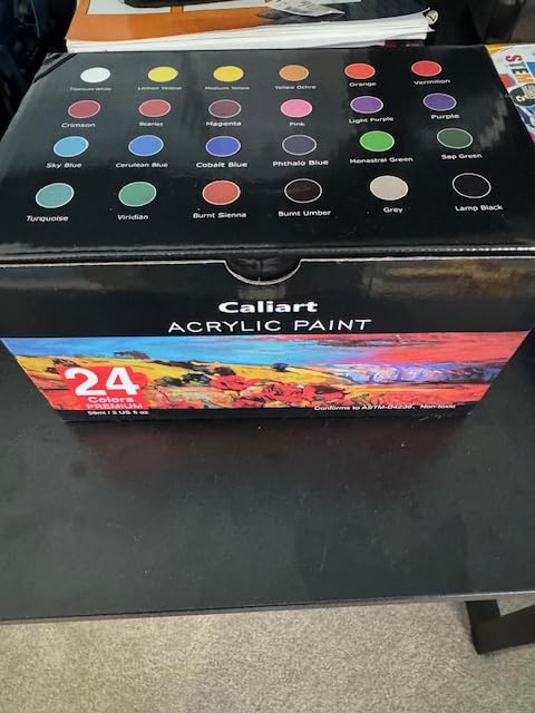Caliart 24 Colors Acrylic Paint Set with 12 Brushes | Craft Painting kit for Adults Artists Beginners, Halloween Pumpkin Canvas Wood Rock Ceramic Fabric Art Supplies Paints customer photo 1
