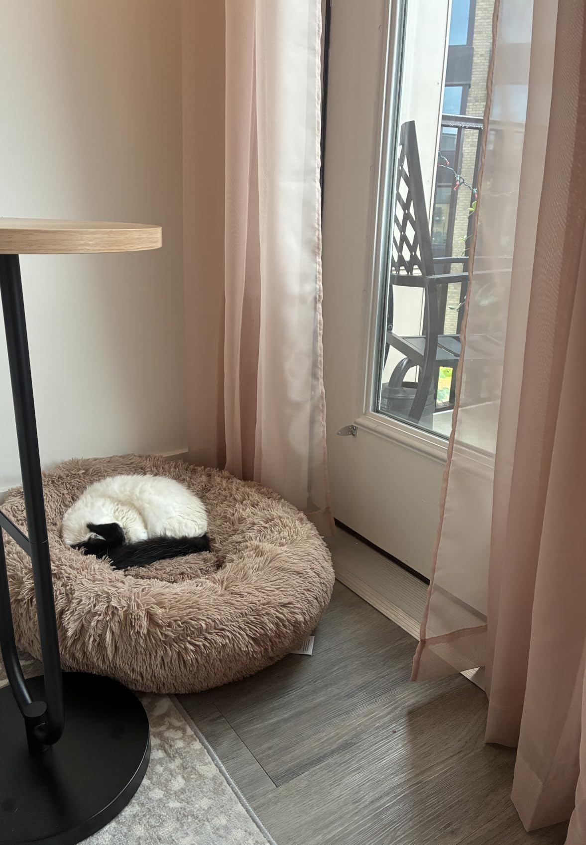 Bedsure Calming Small Dog Bed Donut Washable Cat & Puppy Bed, 23 inches Camel - Fluffy Faux Fur Round Cuddler, Anti-Slip Bottom, Anti-Anxiety, Deep Sleep for Pets Up to 25 Lbs customer photo 2
