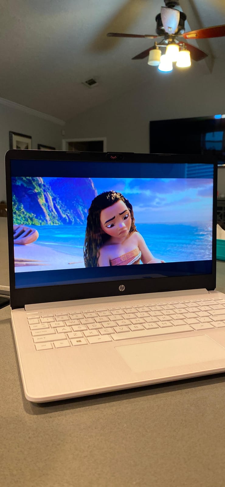 HP Laptop Intel Celeron N4020 4GB DDR4 SDRAM 64GB eMMC 14 inch HD LED Display Microsoft 365 1 Year Subscription (White) customer photo 2