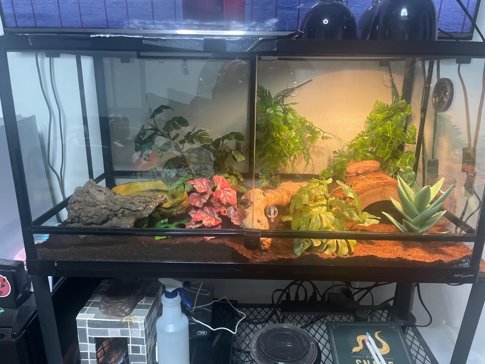 REPTI ZOO 50 Gallon Reptile Glass Tank Terrarium 2 in 1 Side Meshes and Side Glasses Double Hinge Door with Screen Ventilation Tempered Glass 36
