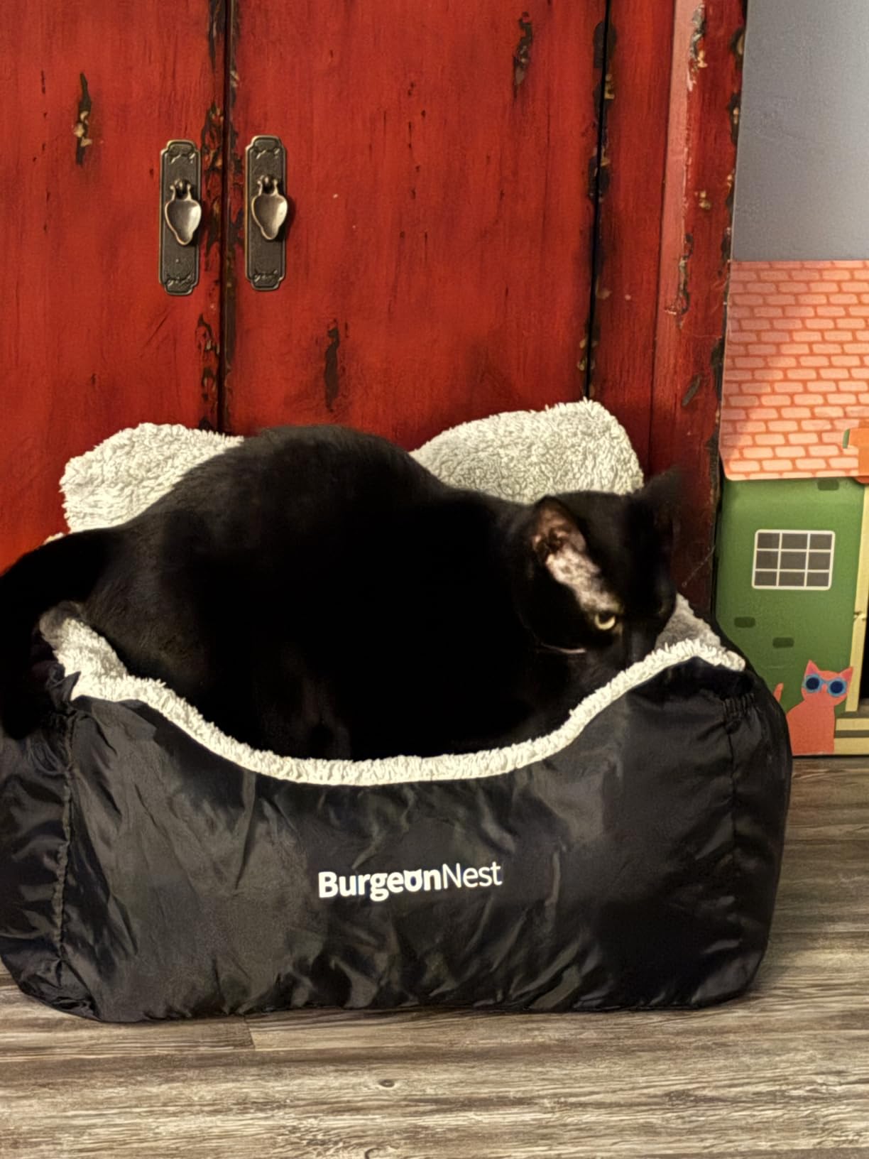BurgeonNest Dog Car Seat for Small Dogs & Cats Under 25 lbs, Black customer photo 1
