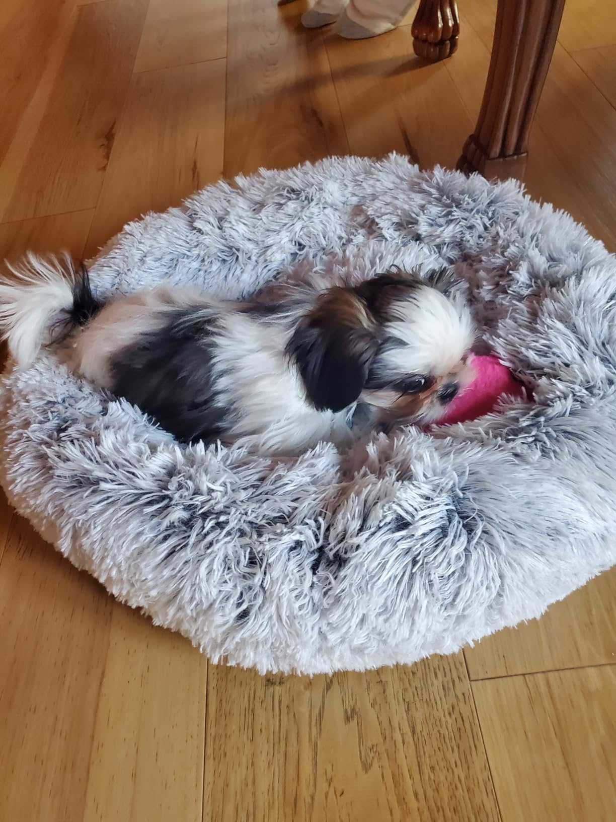 WESTERN HOME WH Calming Dog Bed & Cat Bed Washable Puppy Bed, 24