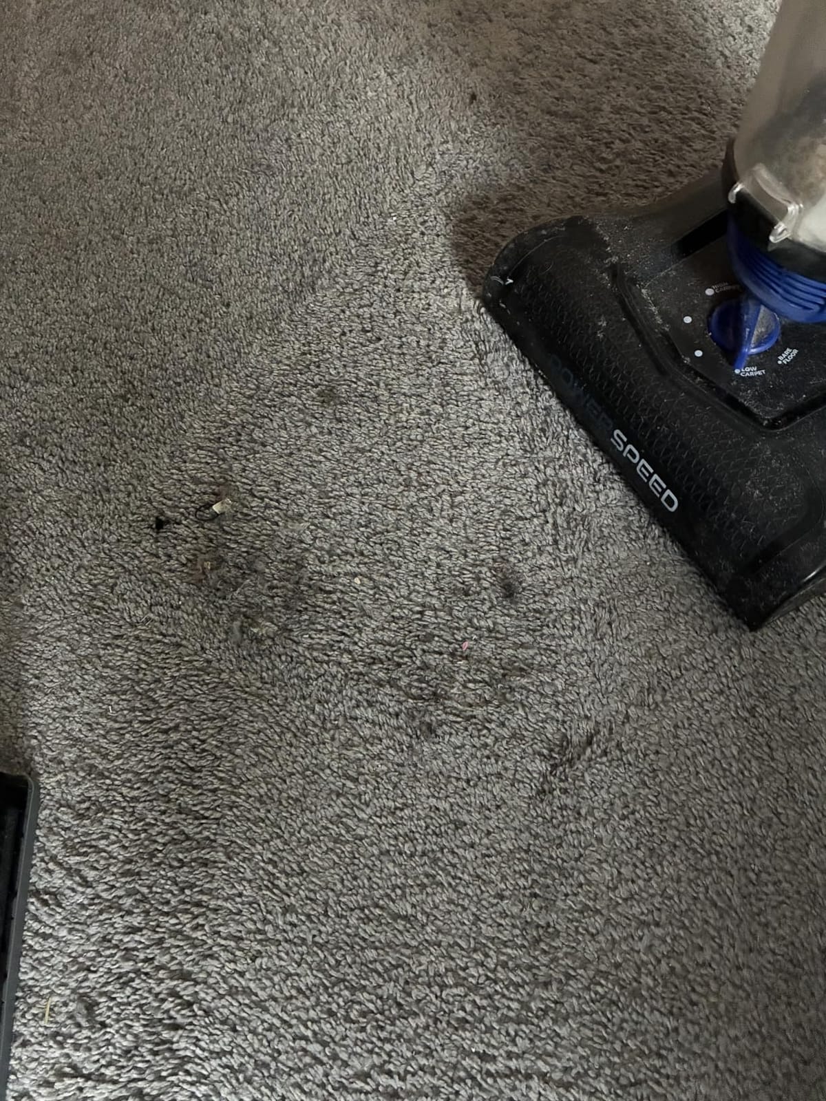 Eureka Lightweight Powerful Upright Vacuum Cleaner for Carpet and Hard Floor, PowerSpeed, New Model, Blue/Black customer photo 1