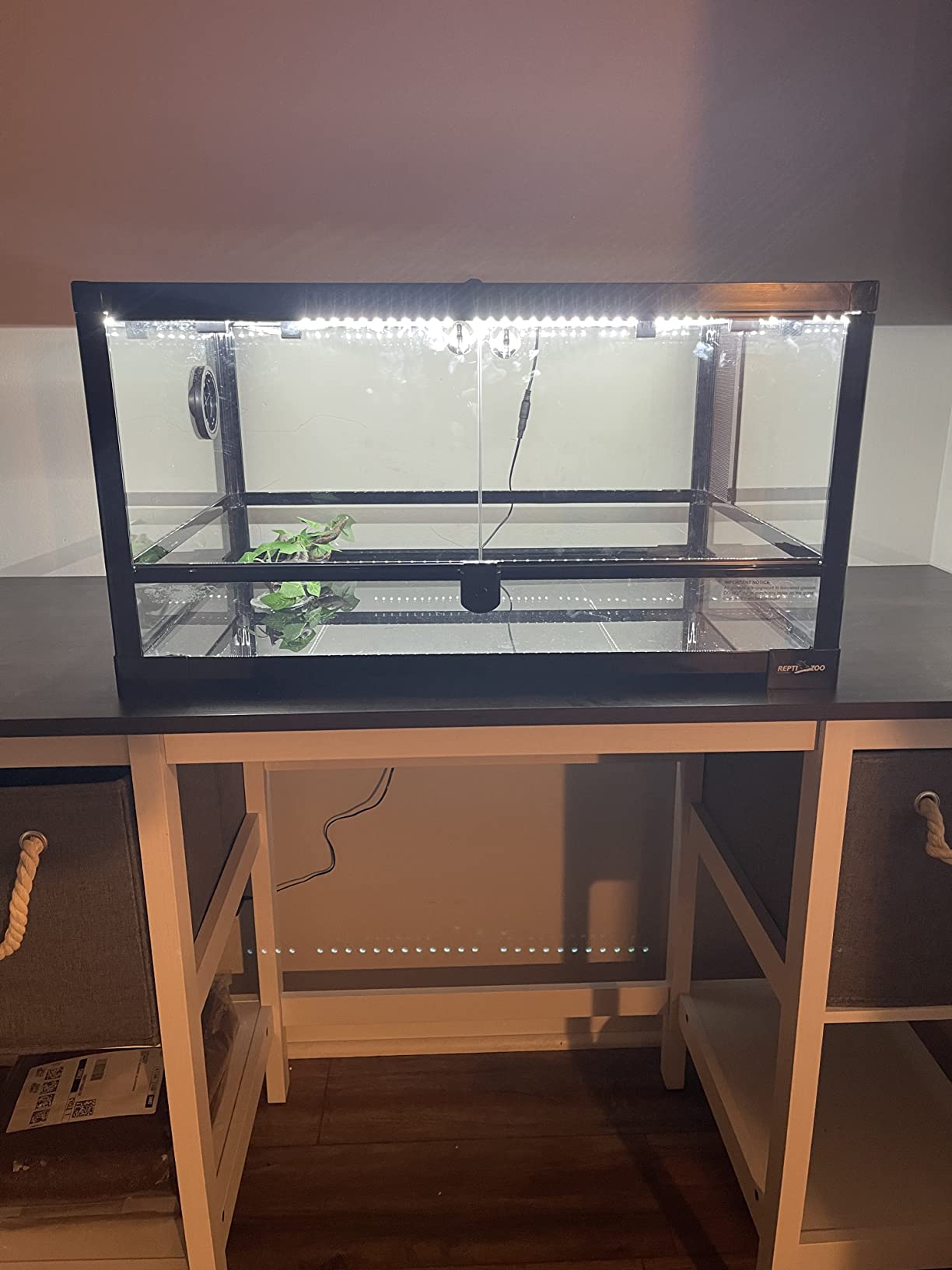 REPTI ZOO Full Glass 20 Gallon Reptile Tank, Front Opening Reptile Terrarium 24