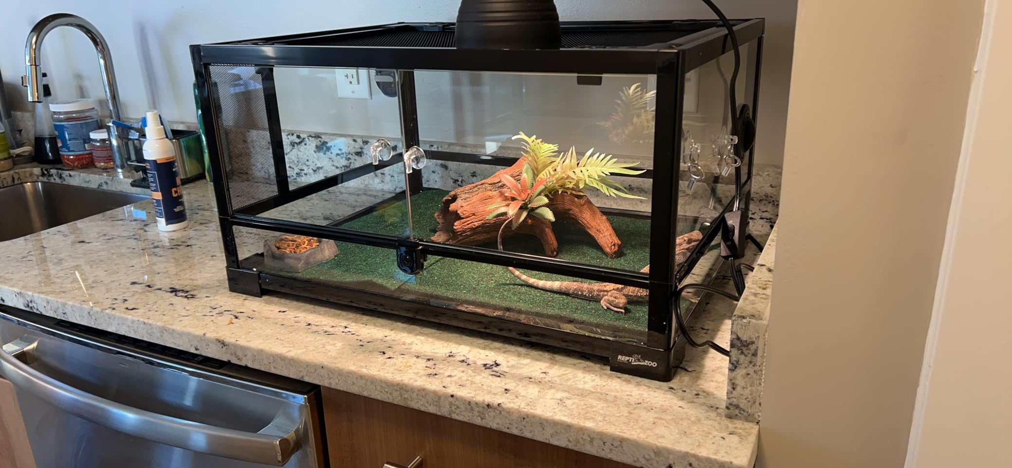 REPTI ZOO Full Glass 20 Gallon Reptile Tank, Front Opening Reptile Terrarium 24