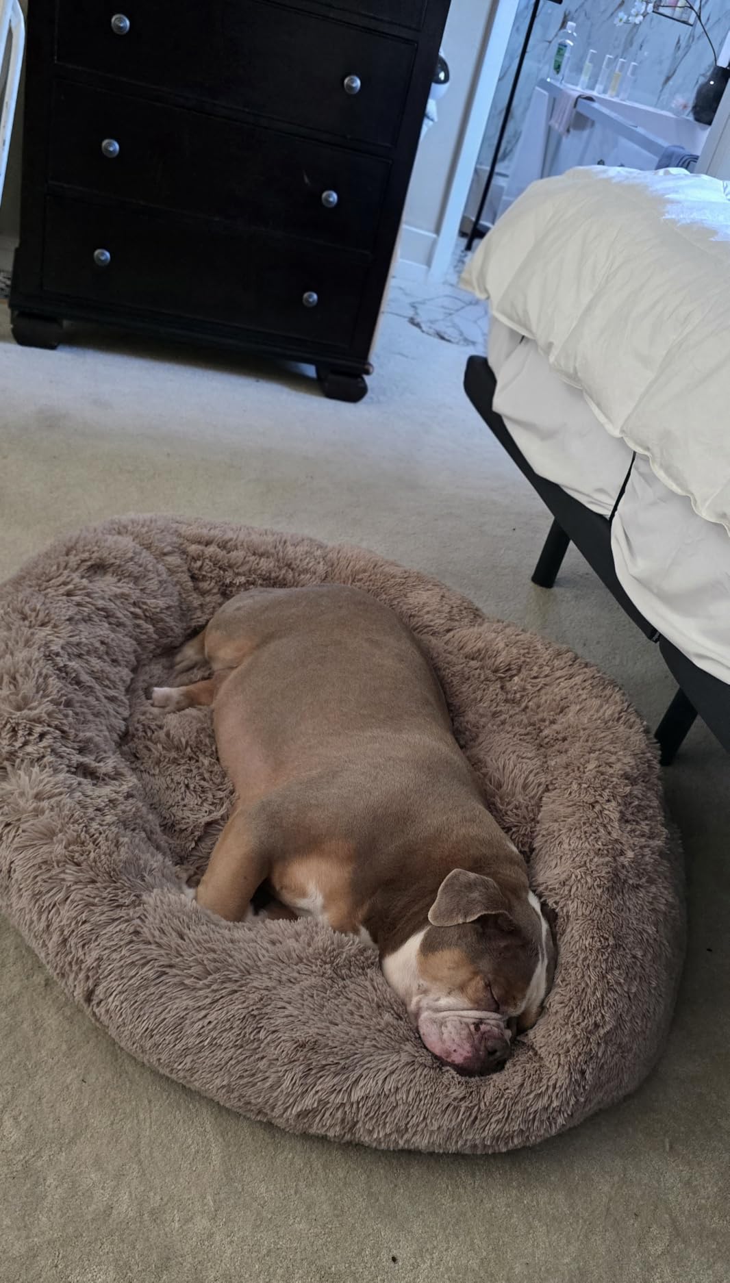 Bedsure Calming Dog Beds Large Sized Dog Donut Washable Pet Bed, 36ins Camel | Oprah Daily Award, Fluffy Faux Fur Round Cuddler, Removable Washable Cover, Anti-Slip Bottom, Anti-Anxiety, Up to 80 Lbs customer photo 1