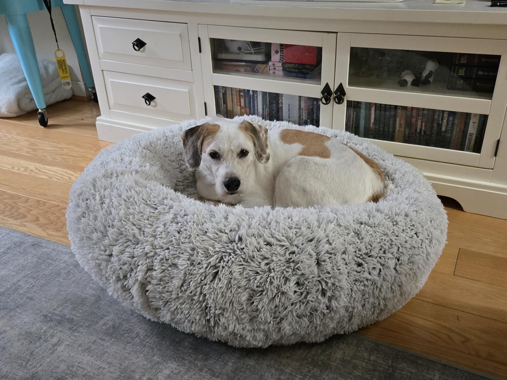 Bedsure Calming Cat Beds Donut Round Washable Kitten Bed, 20 inches Camel | Oprah Daily Award, Fluffy Faux Fur Cuddler, Anti-Slip Bottom, Anti-Anxiety, Deep Sleep for Cats & Small Pets Up to 15 Lbs customer photo 2