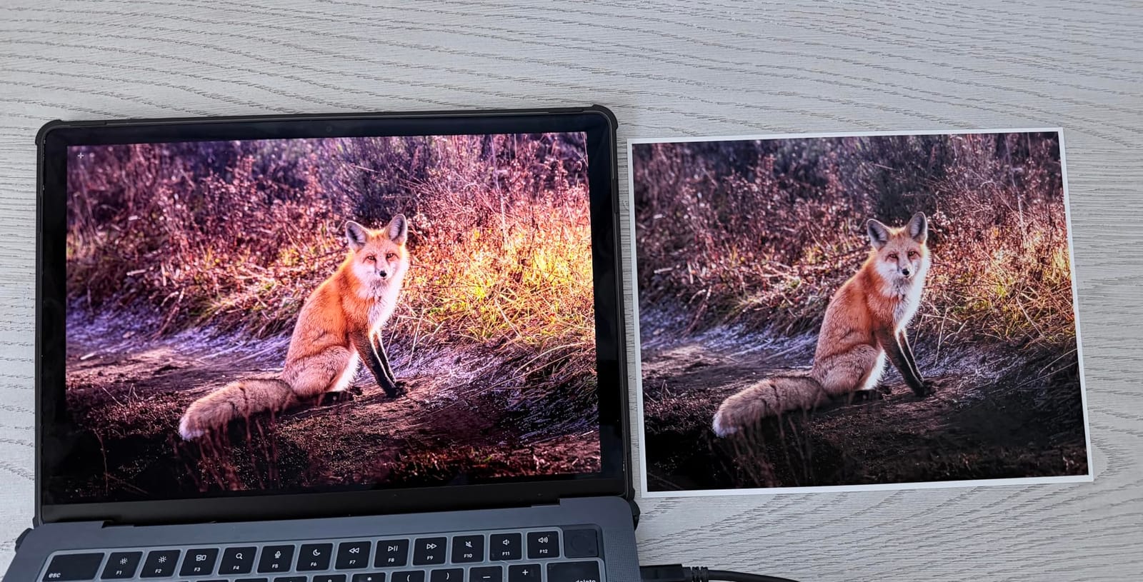 Epson EcoTank Photo ET-8550 Wireless Wide-Format All-in-One Tank Printer customer photo 1