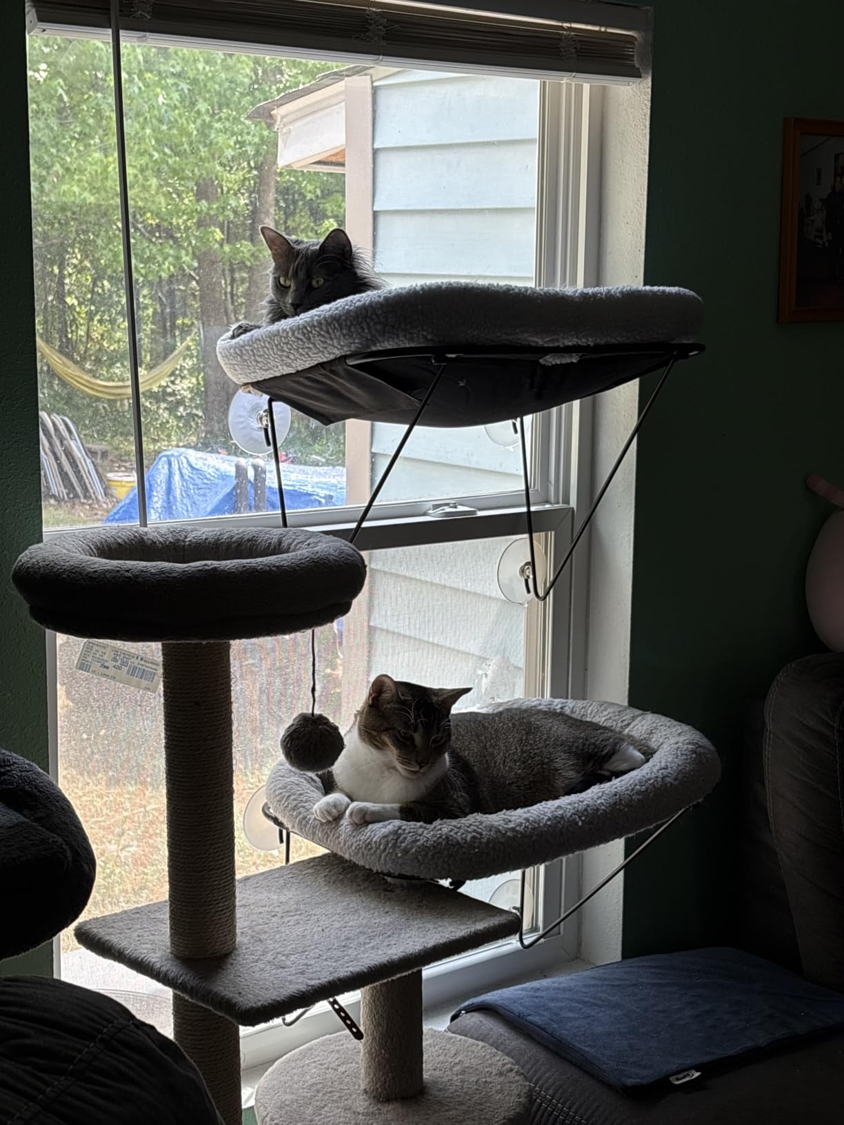 Zakkart Cat Window Perch, 100% Metal Supported from Below (White) | Heavy-Duty Metal Frame, Machine Washable Spacious Pet Bed, Support up to 40 lbs, 25