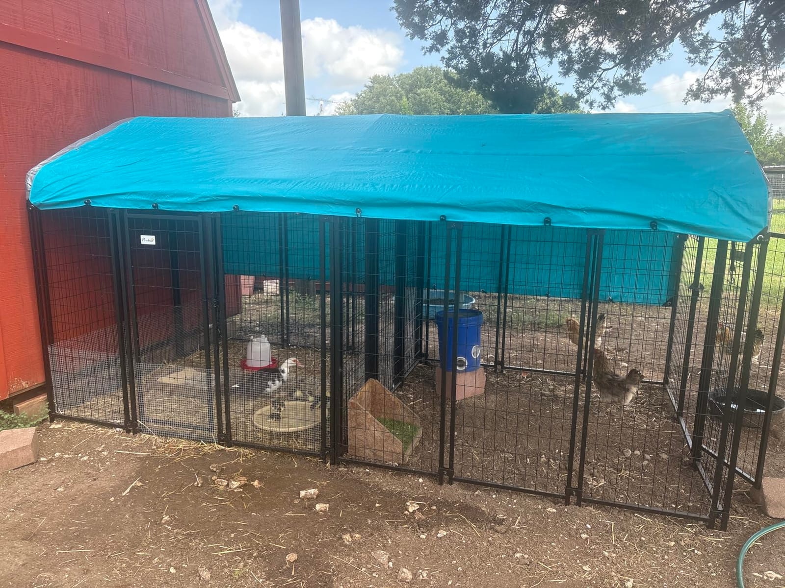 PawHut Outdoor Dog Kennel with Roof, 6' x 4' x 6' Heavy Duty Welded Wire Dog Playpen Enclosure with Escape-Proof Lock, UV-Resistant & Waterproof Cover, for Large Dogs, Chickens, Ducks, Silver customer photo 1