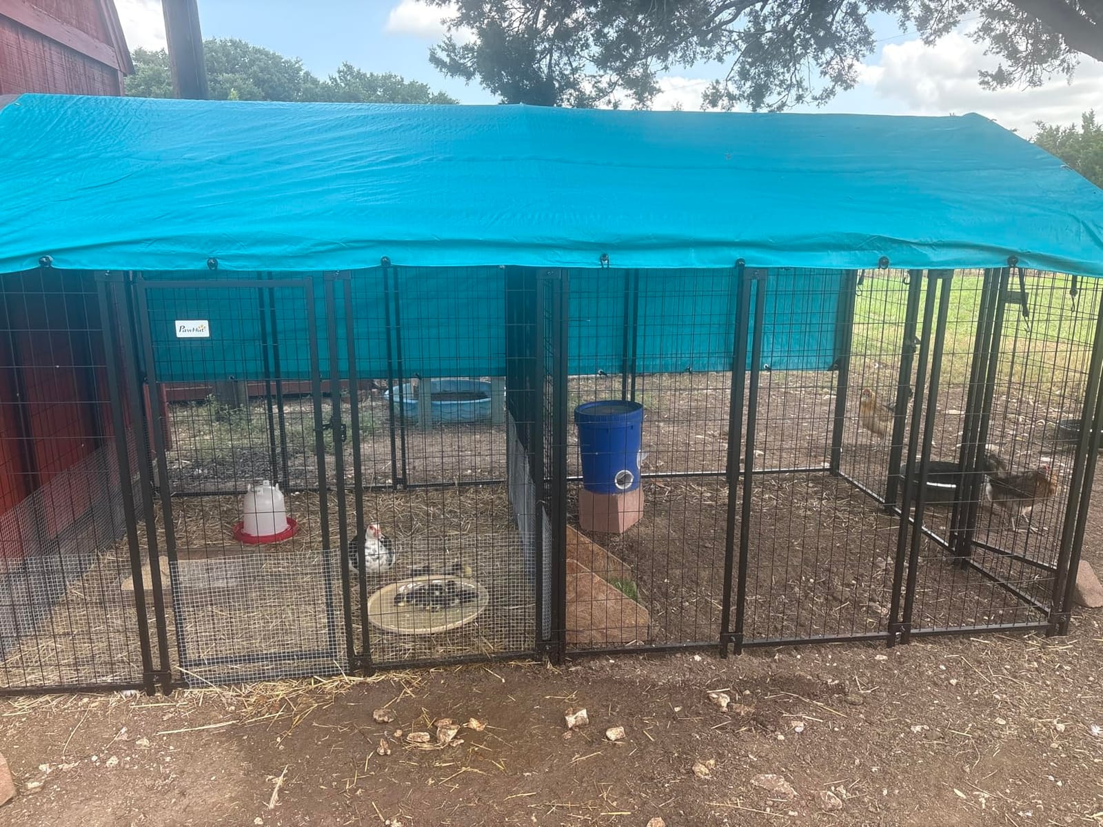 PawHut Outdoor Dog Kennel with Roof, 6' x 4' x 6' Heavy Duty Welded Wire Dog Playpen Enclosure with Escape-Proof Lock, UV-Resistant & Waterproof Cover, for Large Dogs, Chickens, Ducks, Silver customer photo 2