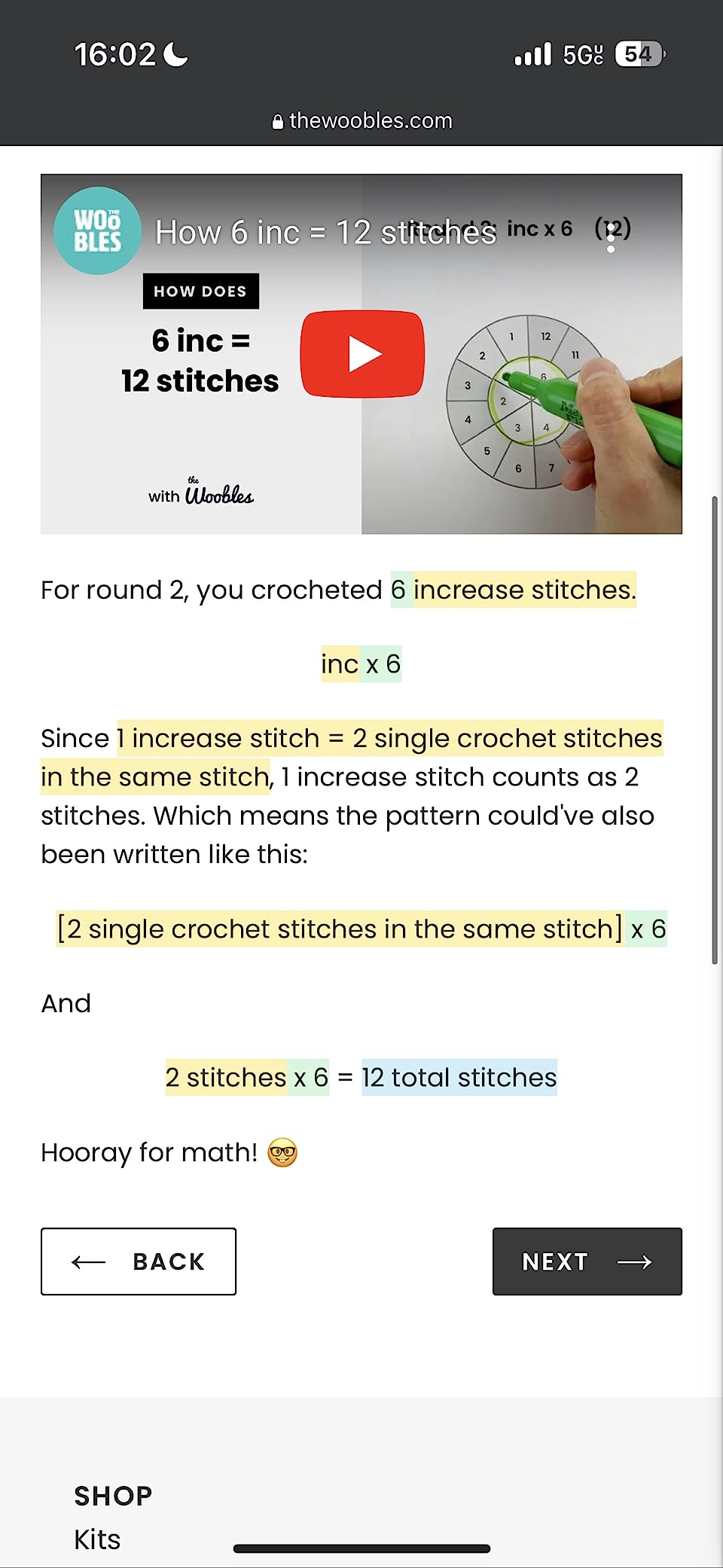 The Woobles Crochet Kit for Beginners - Pierre The Penguin | As seen on Shark Tank, Kit includes: Easy Peasy Yarn, pre-started piece, hook, safety eyes, stuffing, video tutorials, gift customer photo 1
