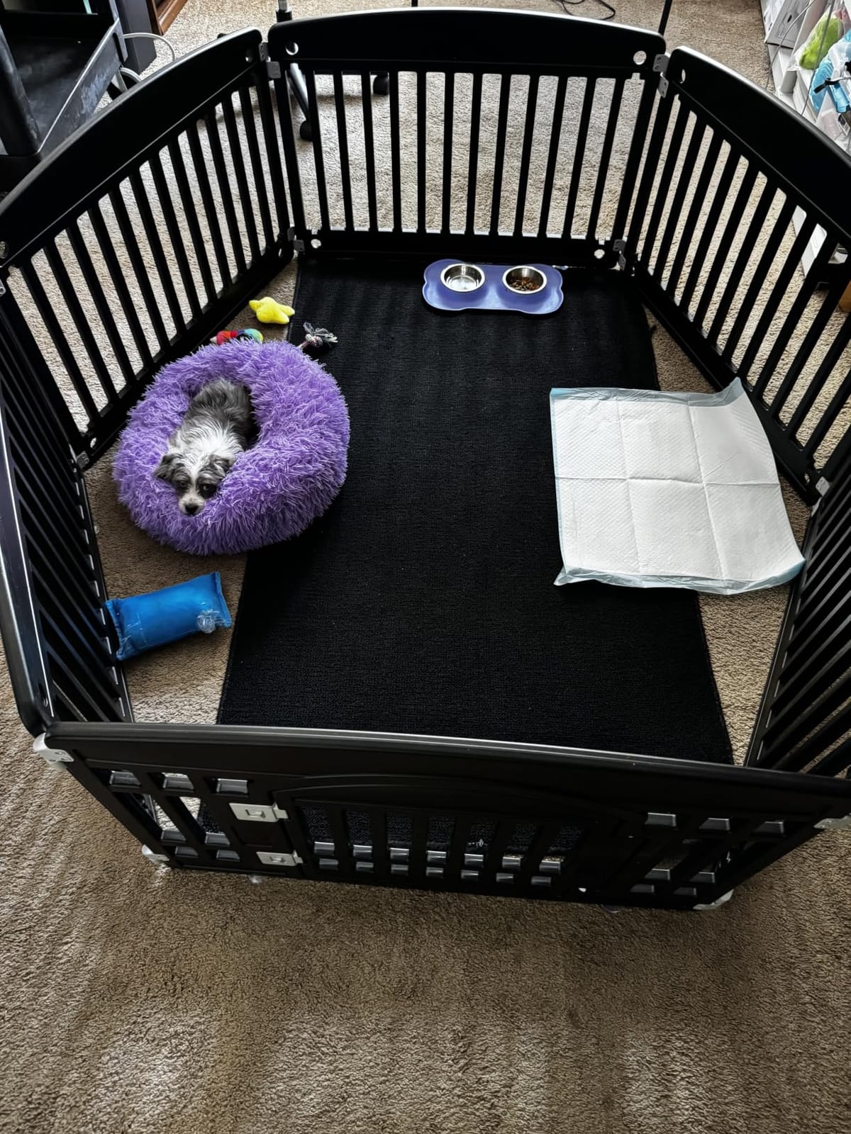 nononfish Calming Dog Bed for Small Dogs, Plush Donut Pet Bed customer photo 2