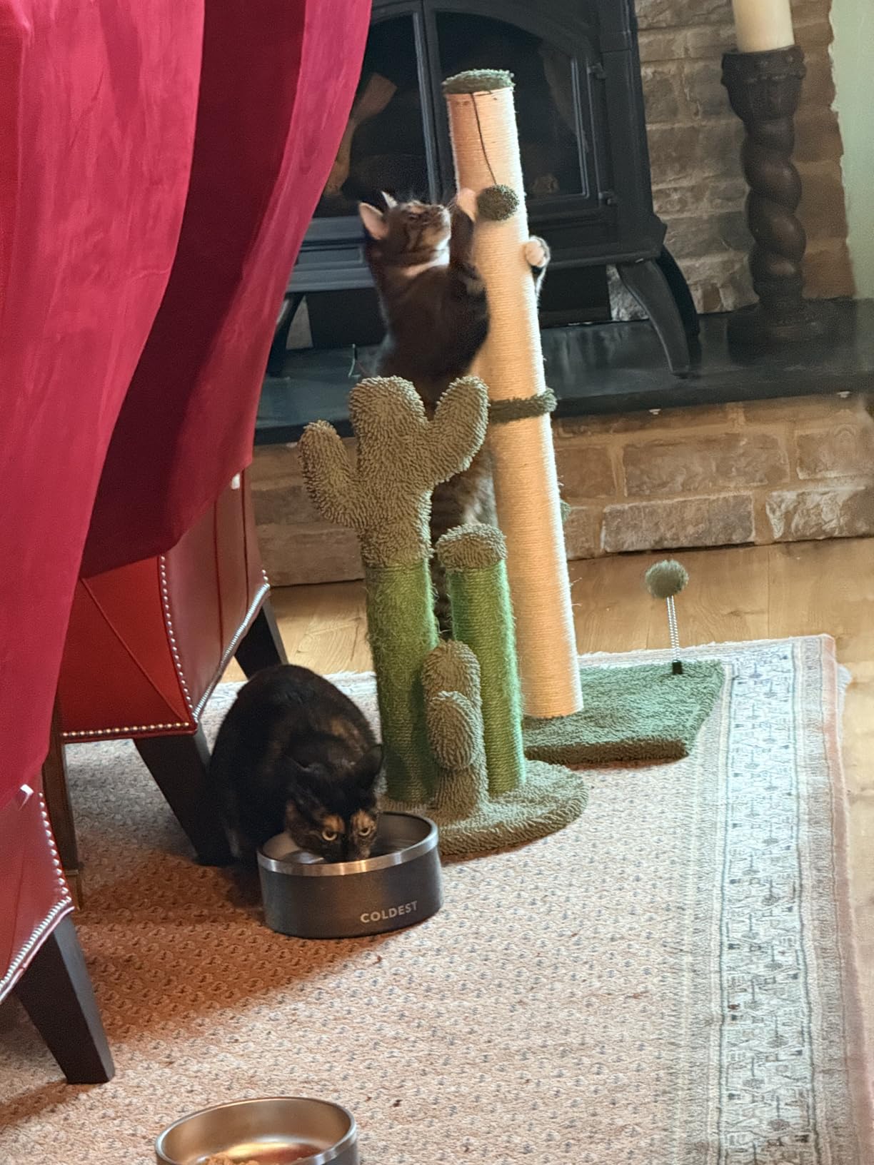 MECOOL Cat Scratching Post Premium Basics Kitten Scratcher Sisal Scratch Posts with Hanging Ball 22in for Kittens or Smaller Cats (22 inches for Kitten, Beige) customer photo 1