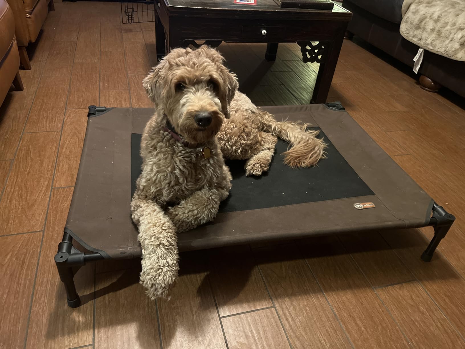K&H Outdoor Elevated Dog Bed, Cooling Raised Dog Bed, Large 42x30in, Tan | Pet Cot for Medium & Large Pets, Breathable Mesh 360 Hammock Design, Indoor/Outdoor Washable Cover, Portable Metal Frame customer photo 2