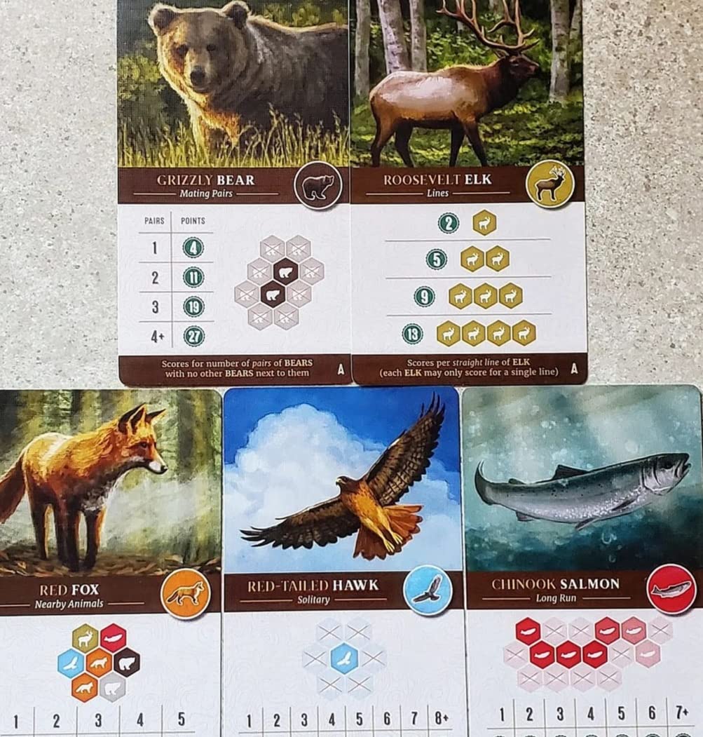 Cascadia, Award-Winning Cozy Nature Board Game Set in the Pacific Northwest | 1-4 Players, Ages 10+, 30-45 Mins, Relaxing Tile-Laying, Build Habitats, Place Wildlife & Create Wildlife Corridors customer photo 2