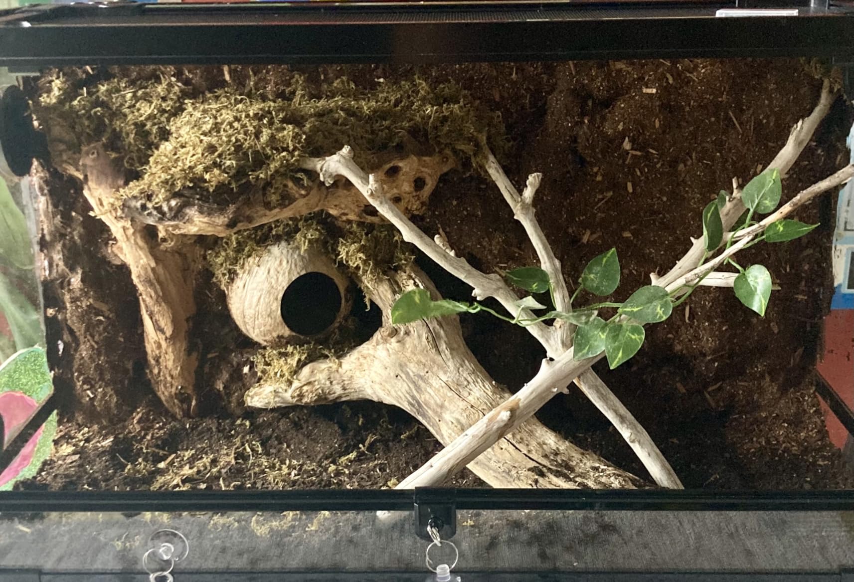 REPTI ZOO Tempered Glass Reptile Terrarium 30 Gallon, Wide Reptiles Tank 30