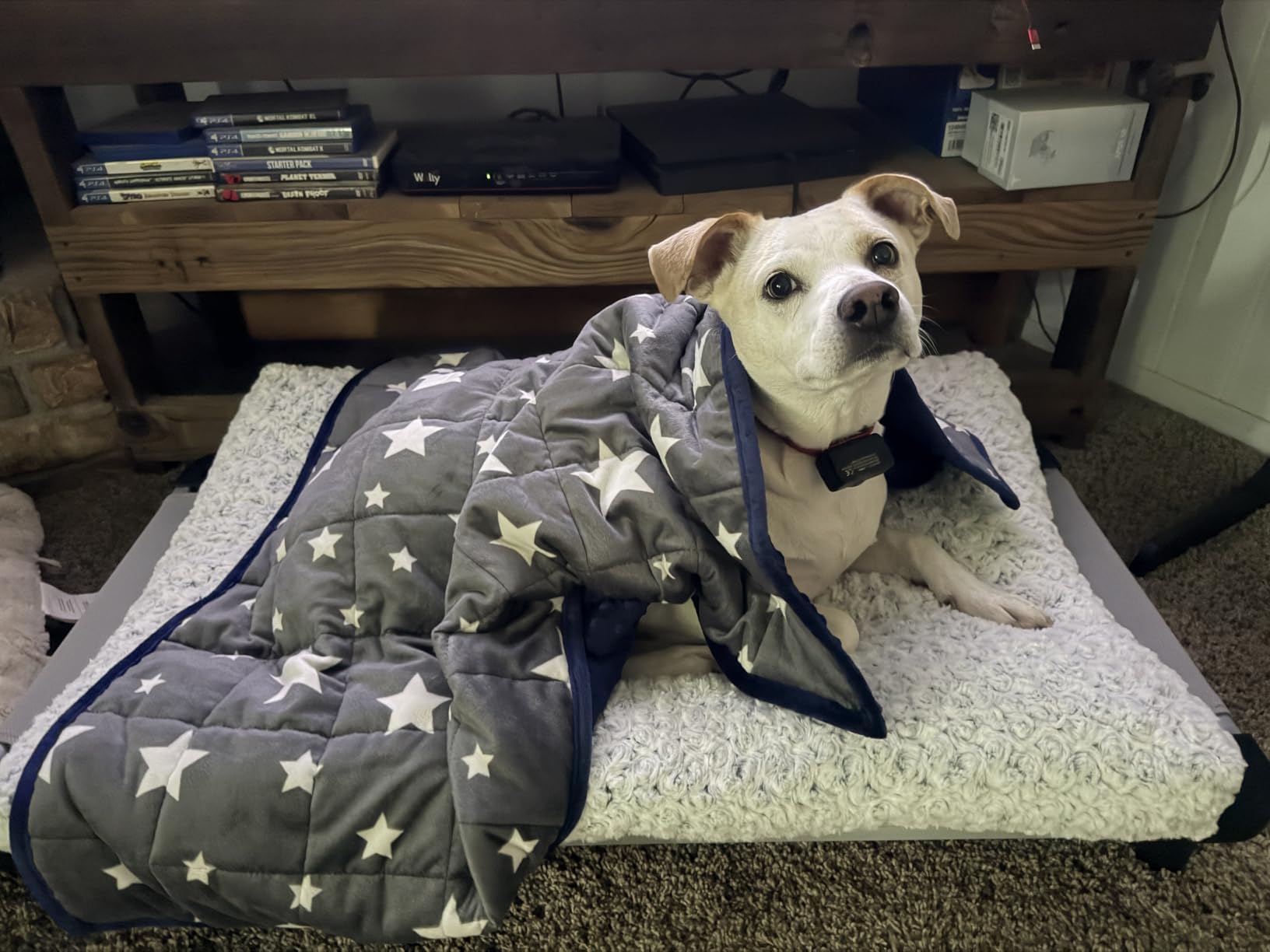 LaSyL Weighted Blanket for Pets | Thunder Blanket for Dogs Anxiety | Premium Soft Minky | Relaxation & Calming & Anti Anxiety | Used in Car, Bed, Couch | Blue Grey Star, Washable Large (40