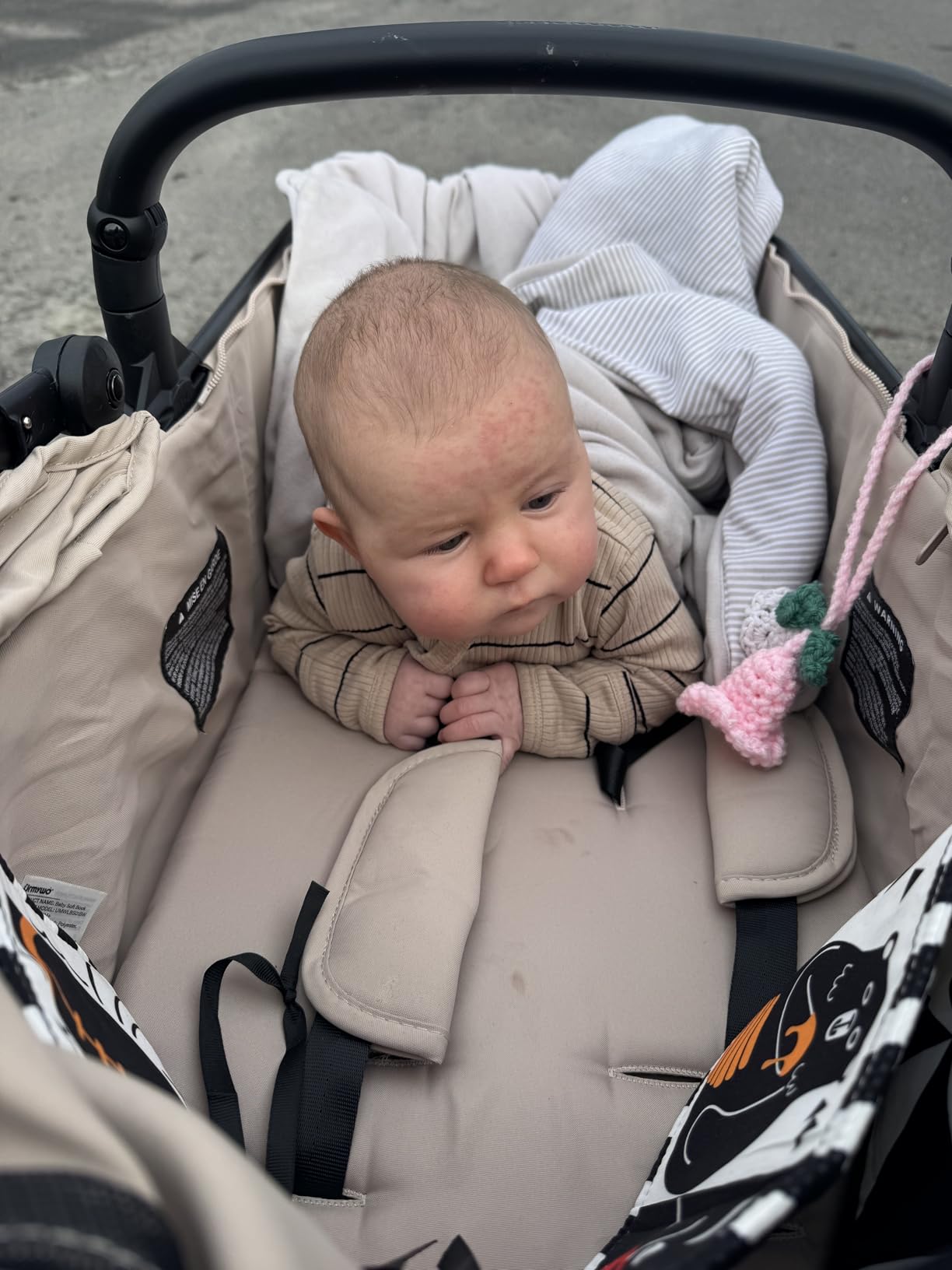 Mompush Wiz 2-in-1 Bassinet Stroller Reversible Seat, One-Hand Fold, Sage customer photo 1