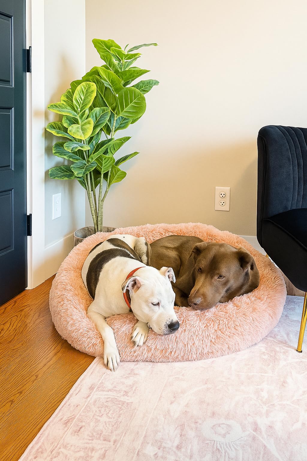 Bedfolks Calming Fluffy Donut Dog Bed for Large Dogs, Dark Grey, 36