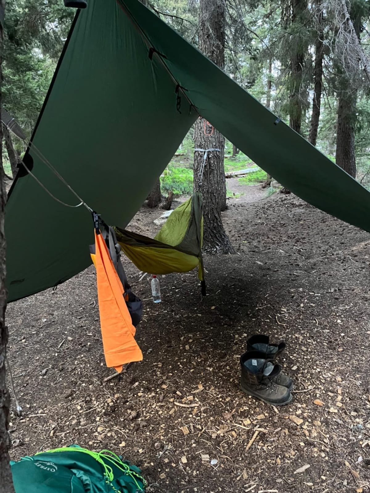 ENO Eagles Nest Outfitters SingleNest Lightweight Camping Hammock customer photo 1