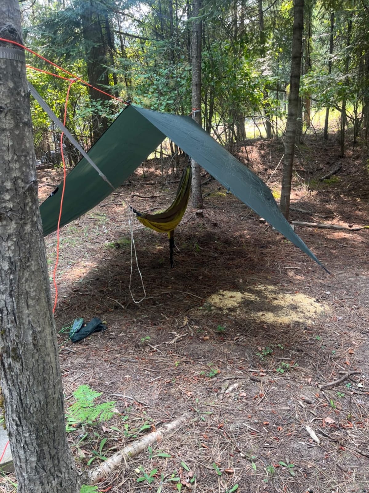 ENO Eagles Nest Outfitters SingleNest Lightweight Camping Hammock customer photo 2