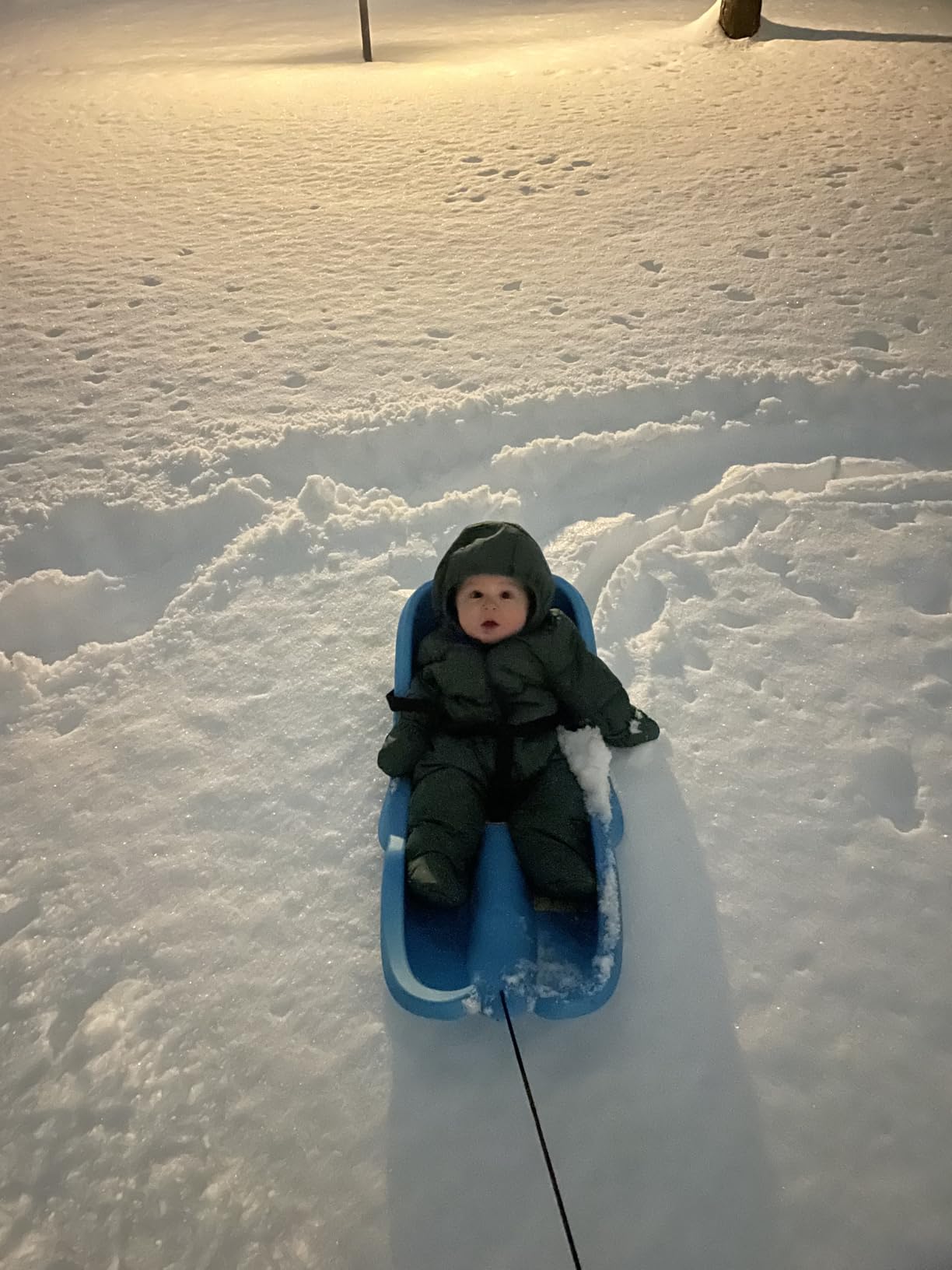 Gizmo Riders Baby Rider, Toddler Sled - 3-Point Harness, Anti-Slip Seat, Retractable Tow Strap, Durable Plastic, Ideal for 6 Months to 3 Years, Supports Up to 55 lbs, Winter Fun for Little Ones customer photo 2