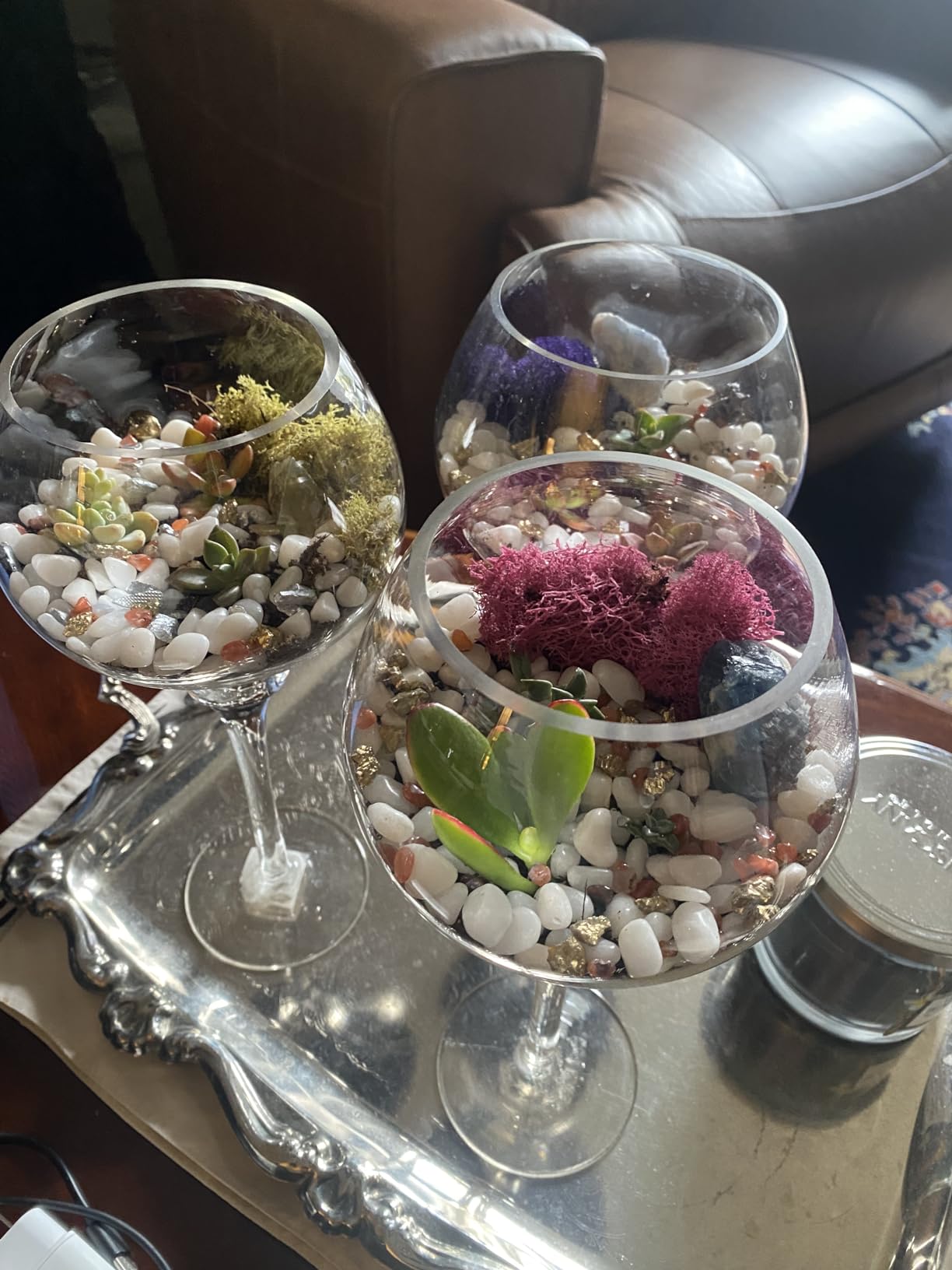 Creations by Nathalie Large Terrarium Starter Kit with Moss Soil and Tools | DIY large terrarium starter kit with premium moss, tools, and essential supplies to build a beautiful indoor terrarium. customer photo 1